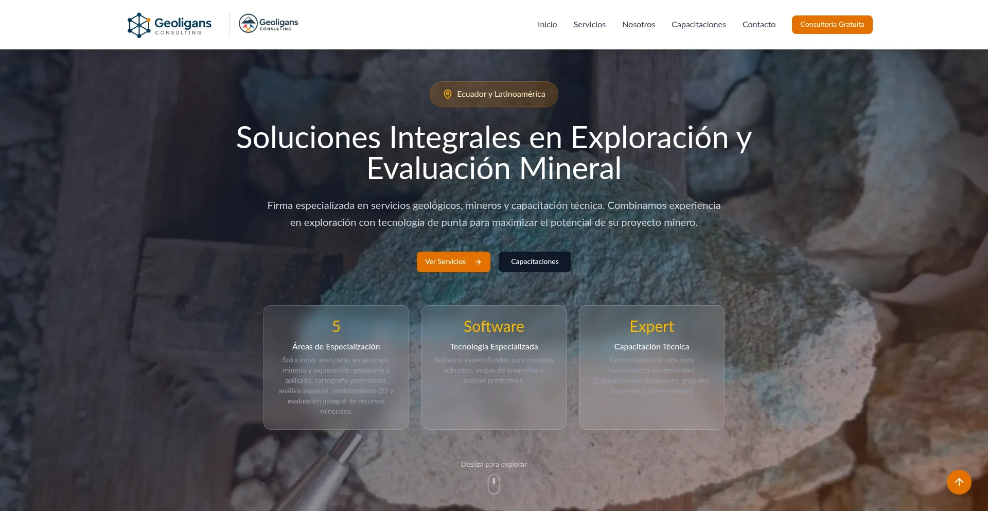 Geoligansconsulting.com