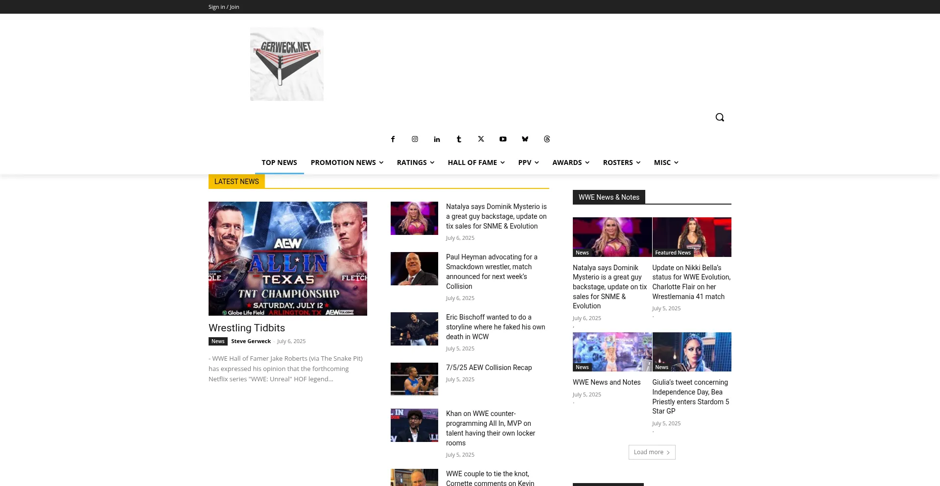 Website screenshot of Gerweck.net