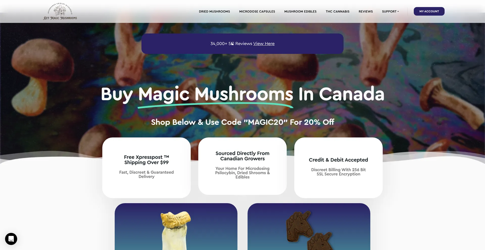 Website screenshot of Getmagicmushrooms.co