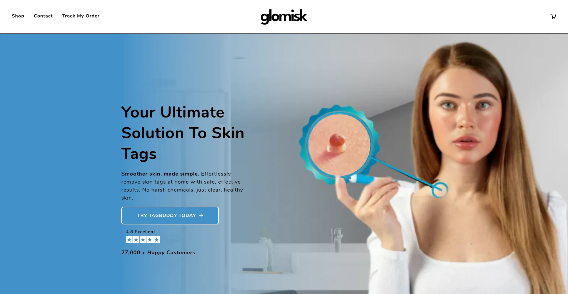 Website screenshot of Glomisk.com