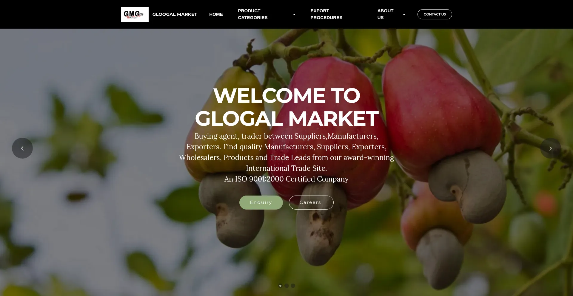 Website screenshot of Gloogalmarket.com