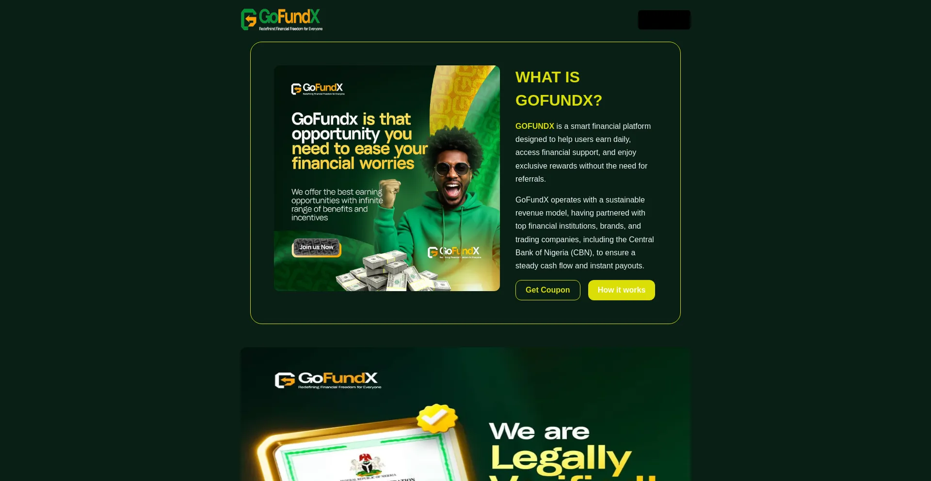 Website screenshot of Gofundx.com.ng
