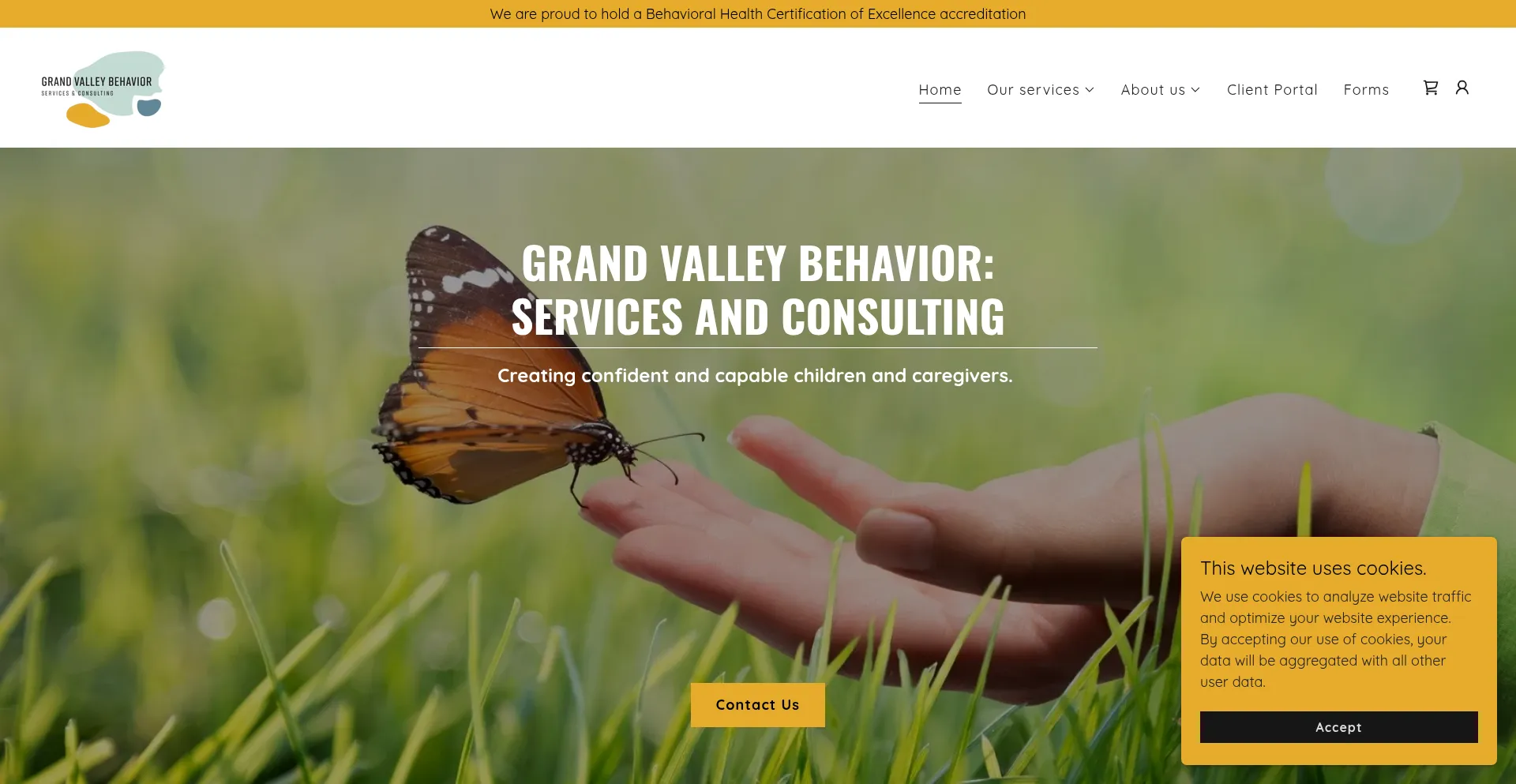 Ist Grandvalleybehavior.com sicher und vertrauenswürdig?