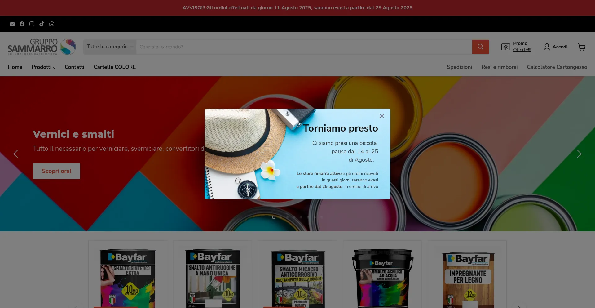 Website screenshot of Grupposammarro.com