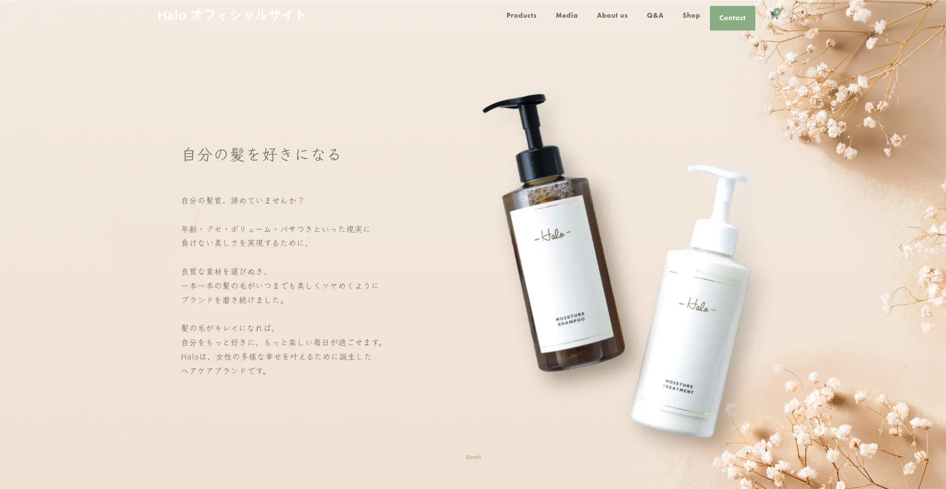 Halo-official.com
