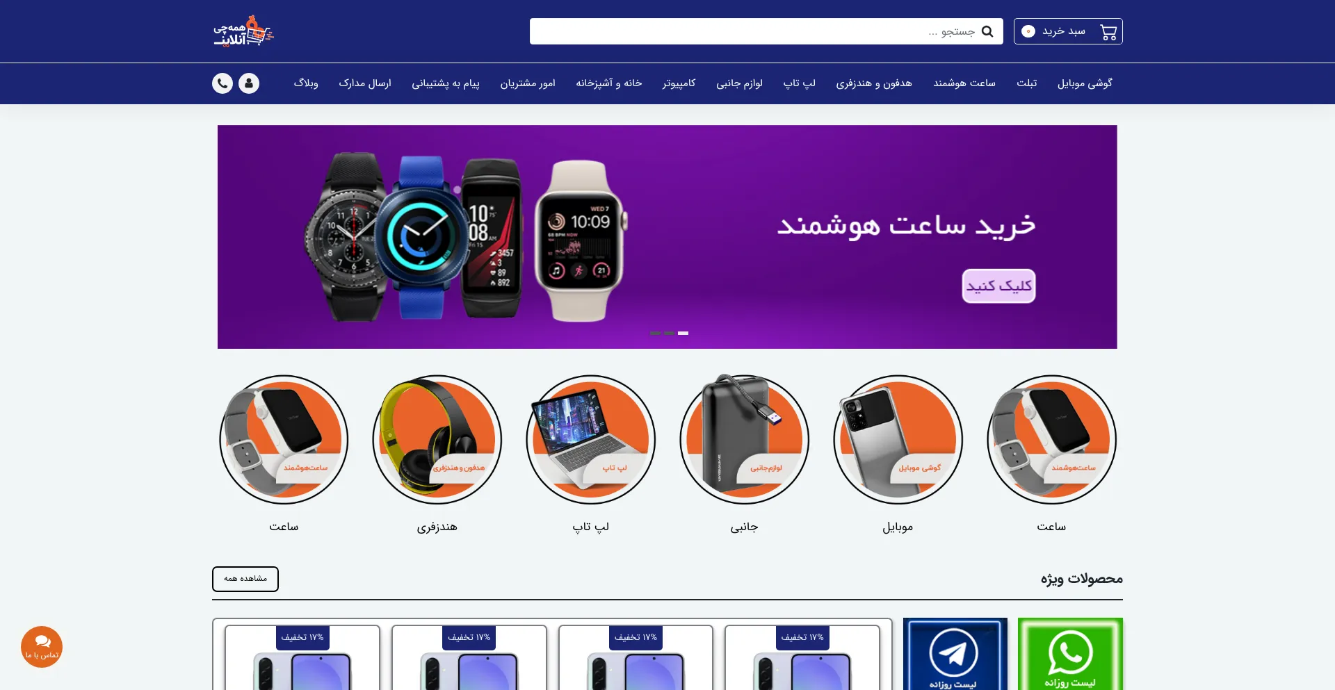 Website screenshot of Hamechionline.ir