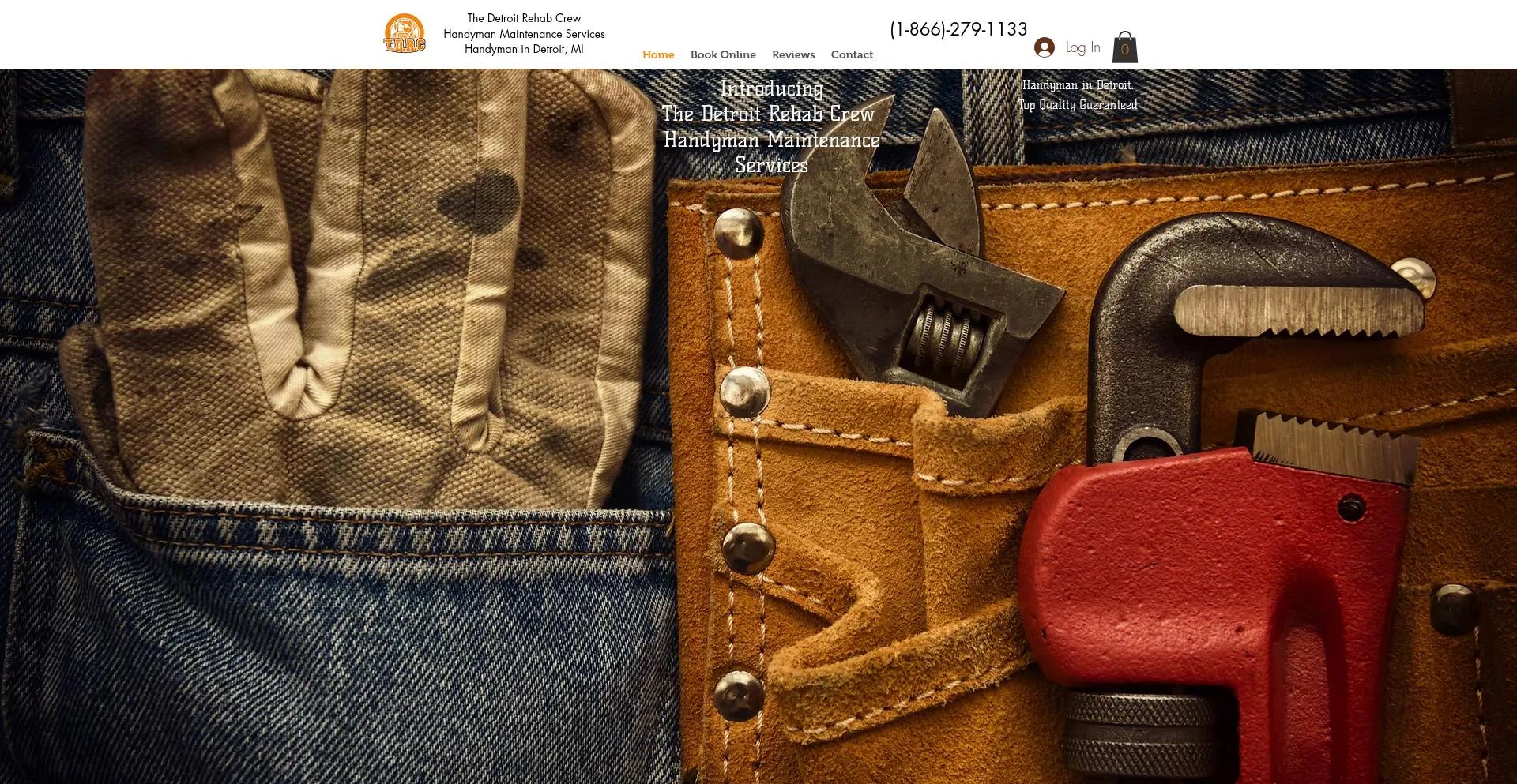 Website screenshot of Handyman313.com