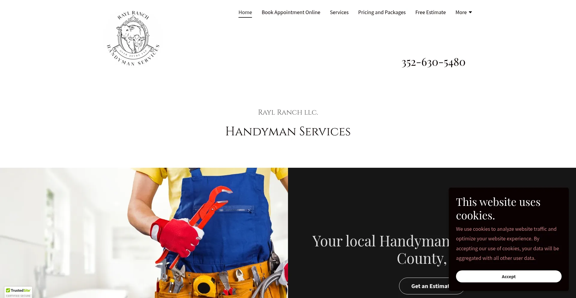 Handymanservices.biz