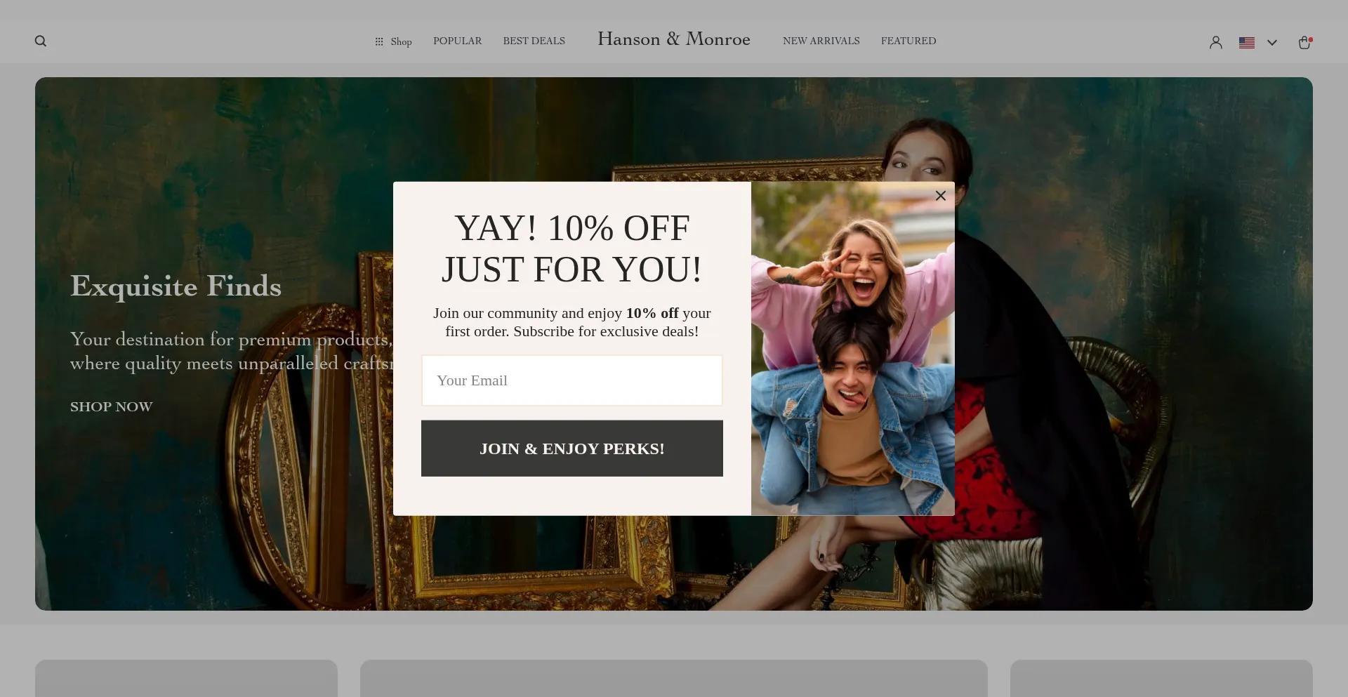 Website screenshot of Hansonmonroe.com