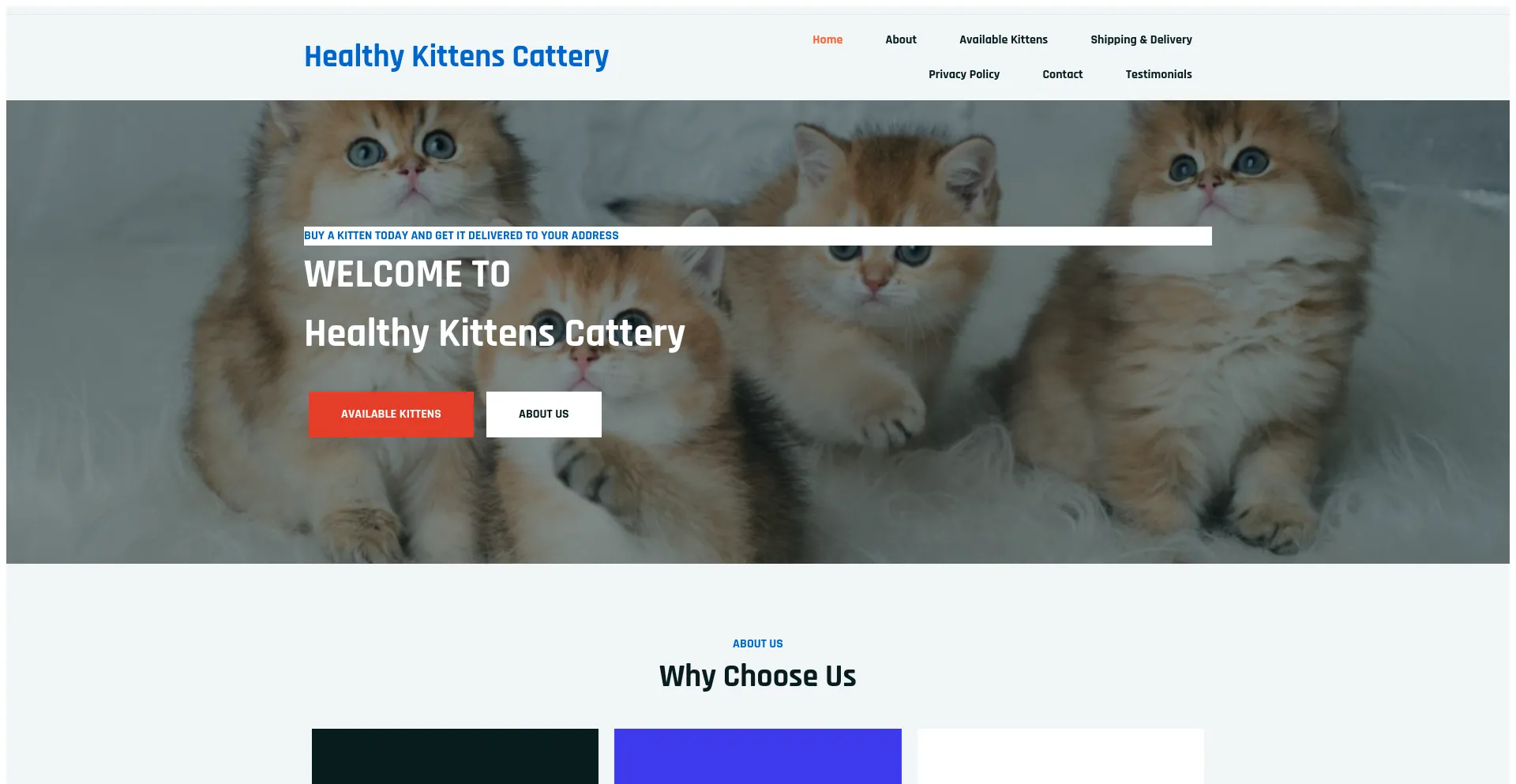 Healthykittens.shop