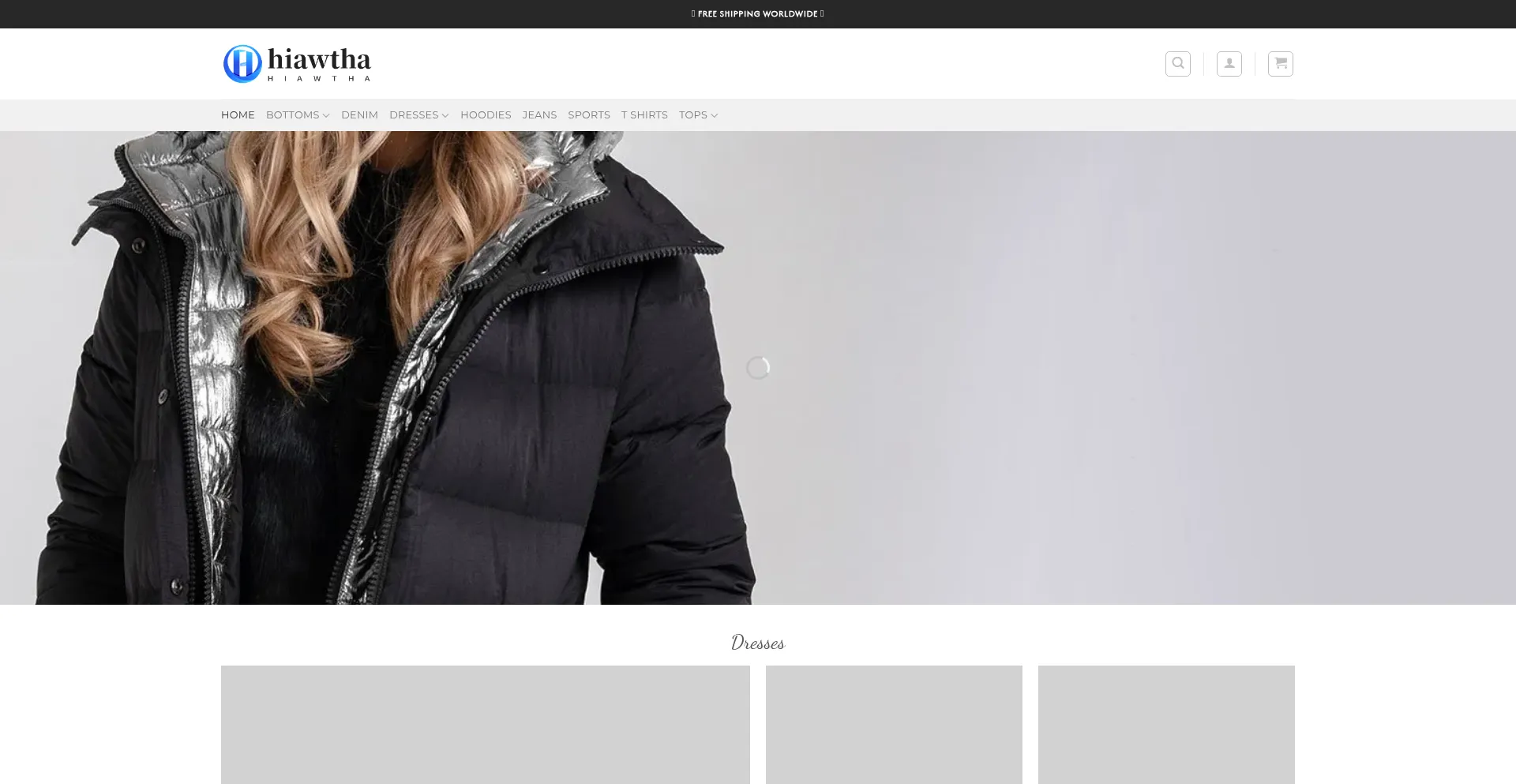 Website screenshot of Hiawtha.com