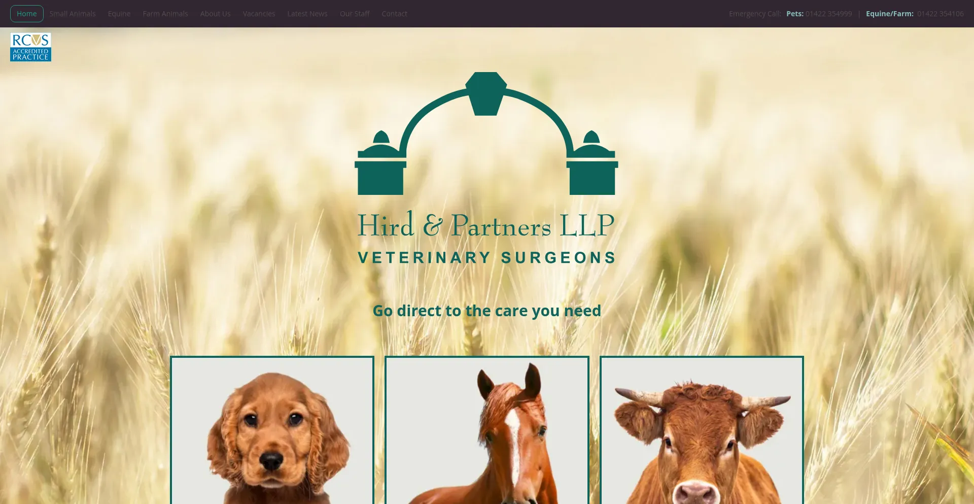 Hirdandpartners.com