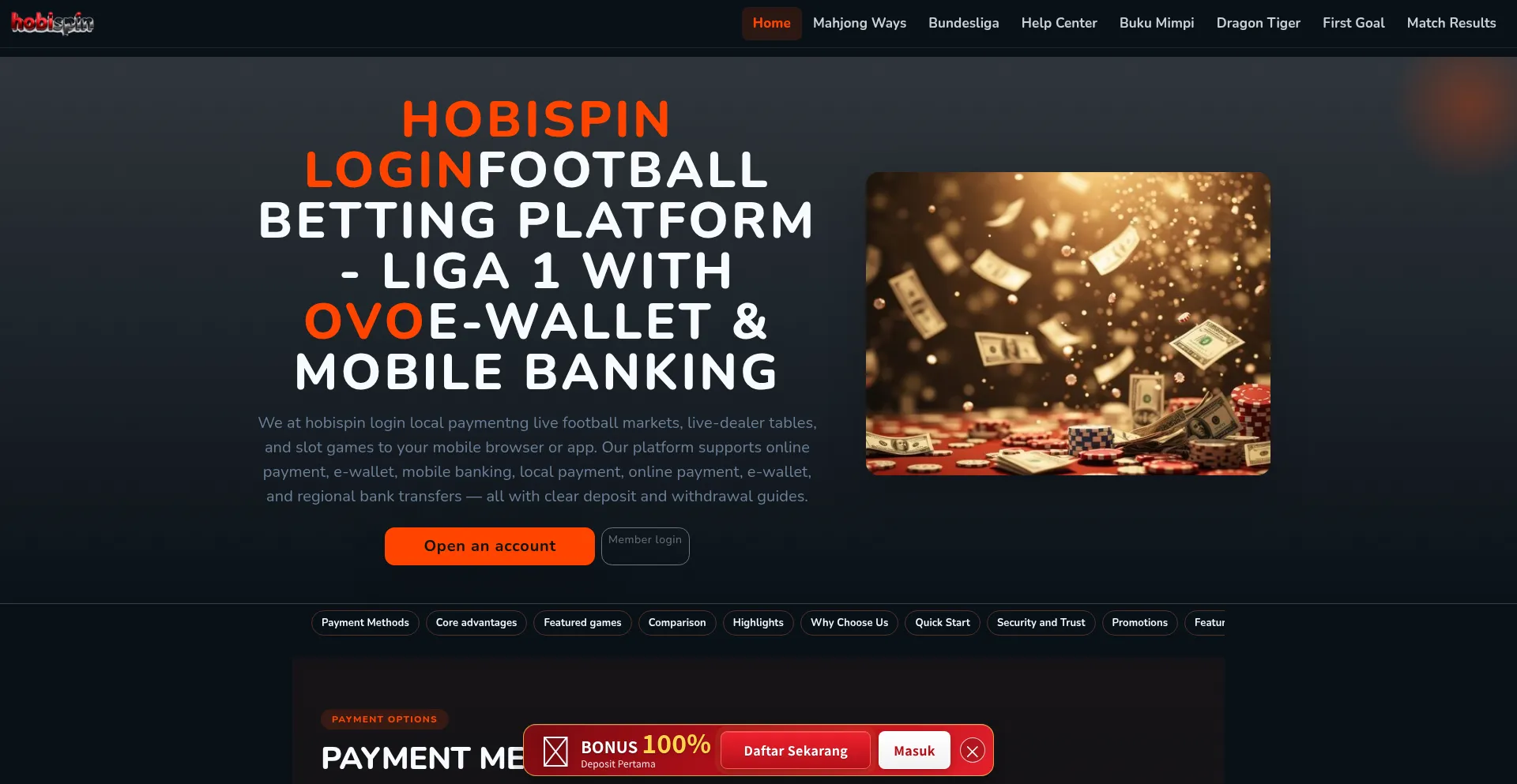 Hobispinlogin.com