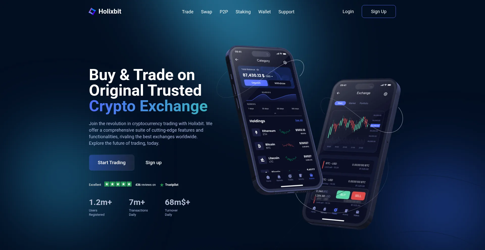Website screenshot of Holixbit.com