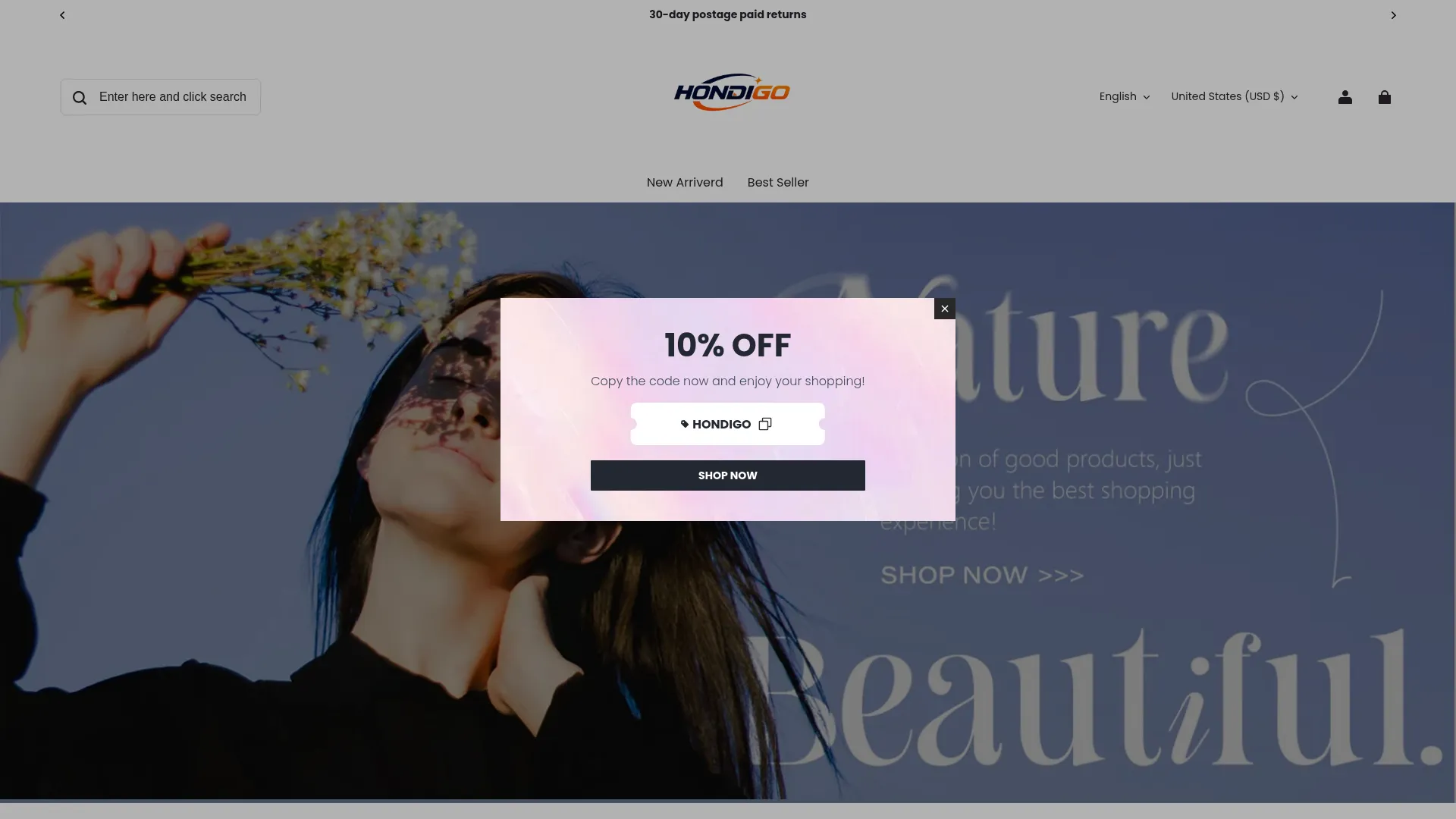 Hondigo.com