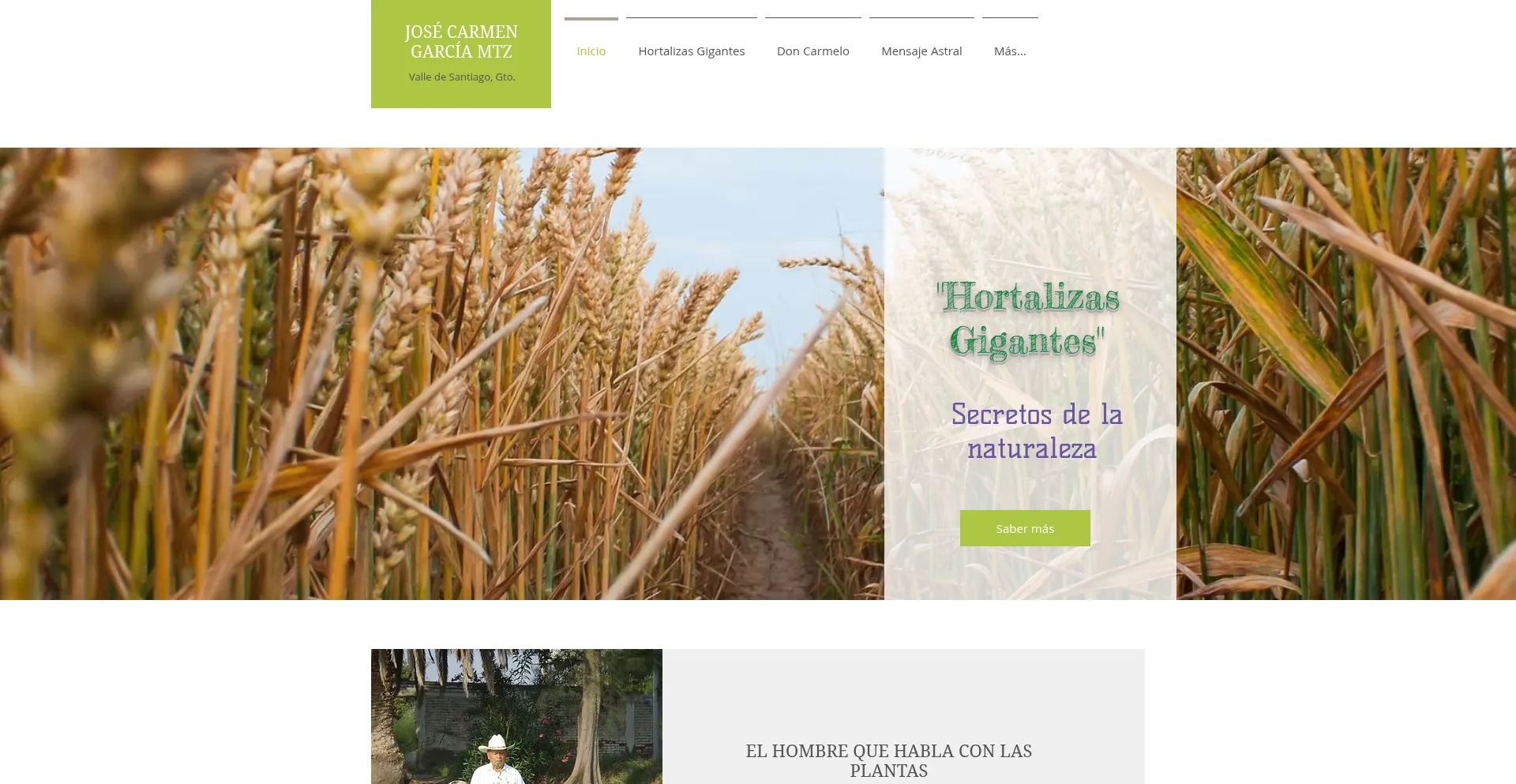 Hortalizas-gigantes.com