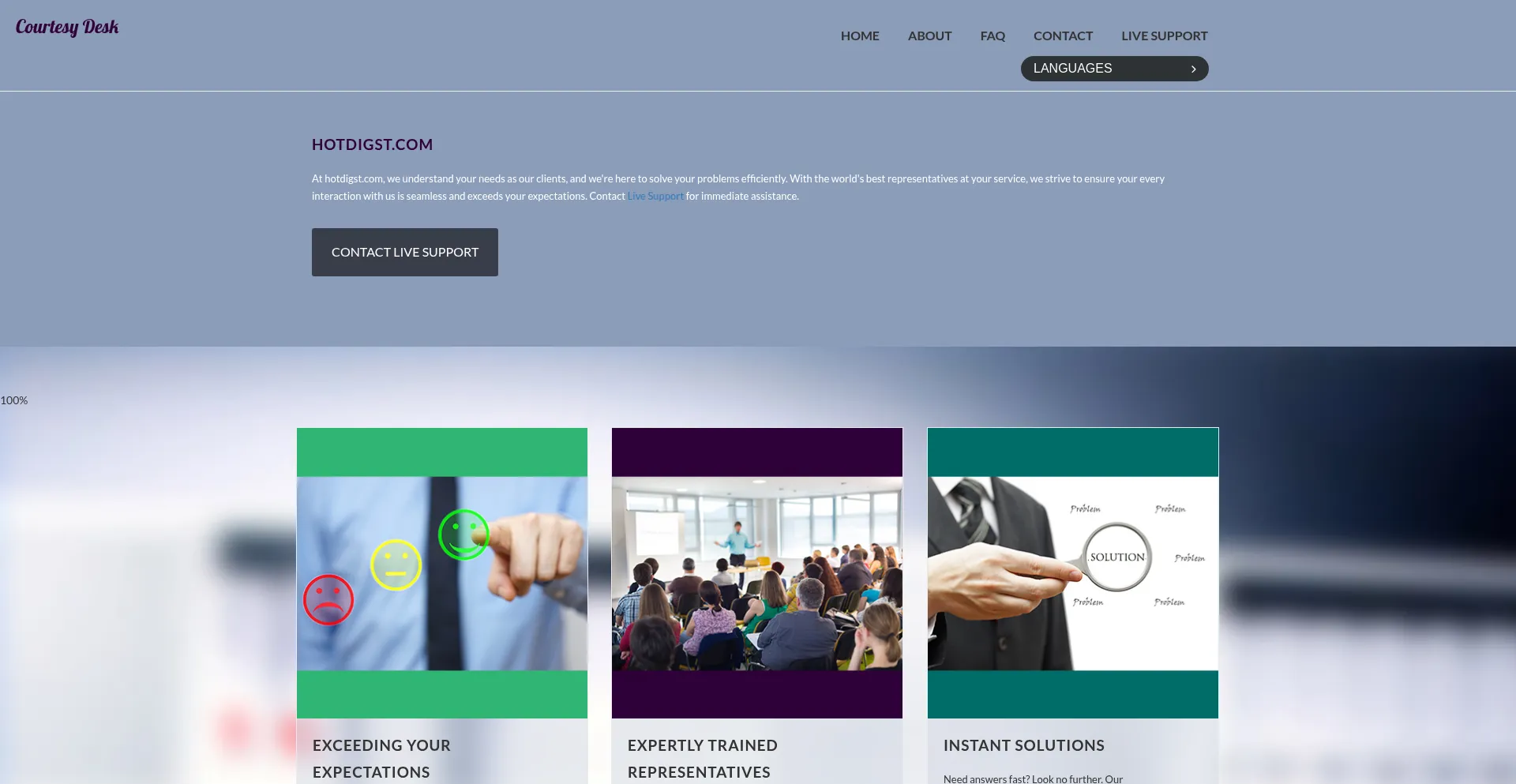 Website screenshot of Hotdigst.com