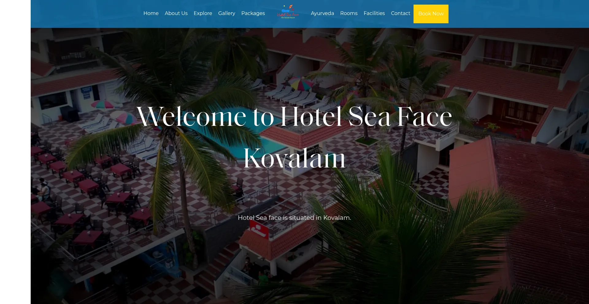 Website screenshot of Hotelseafacekovalam.com