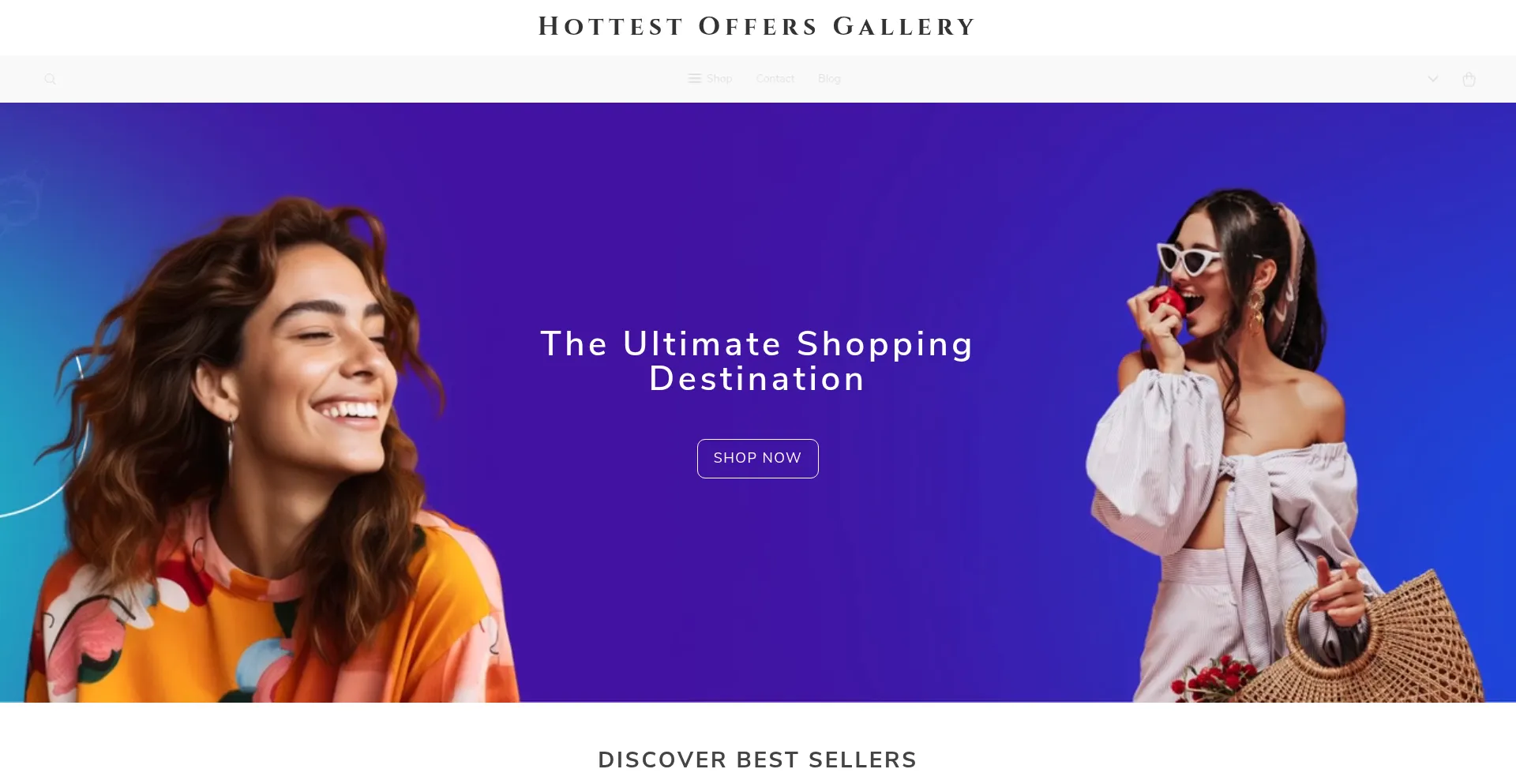 Hottestoffersgallery.shop