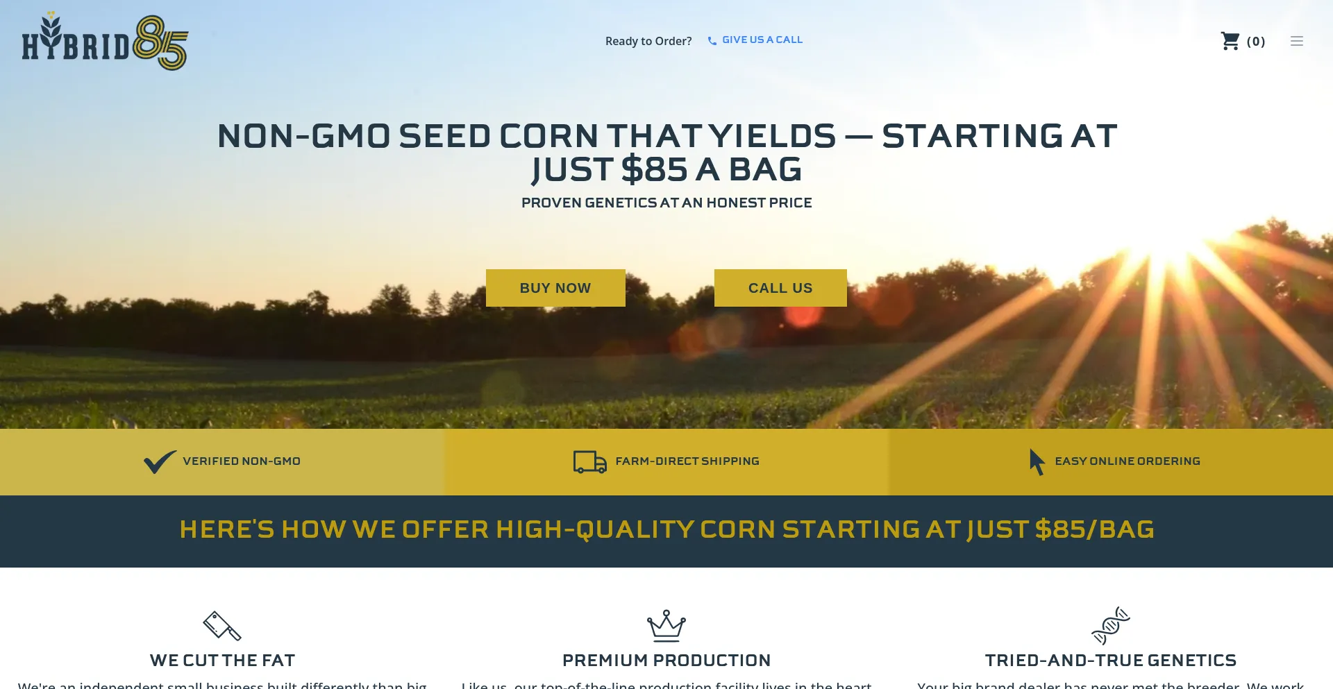 Hybrid85.com