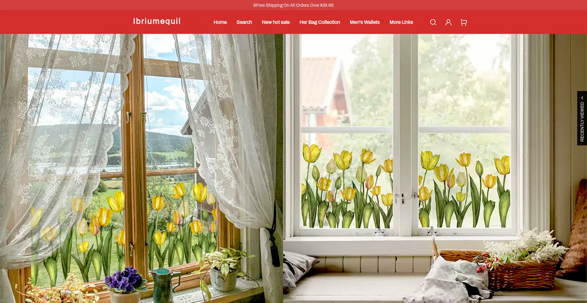 Website screenshot of Ibriumequil.com