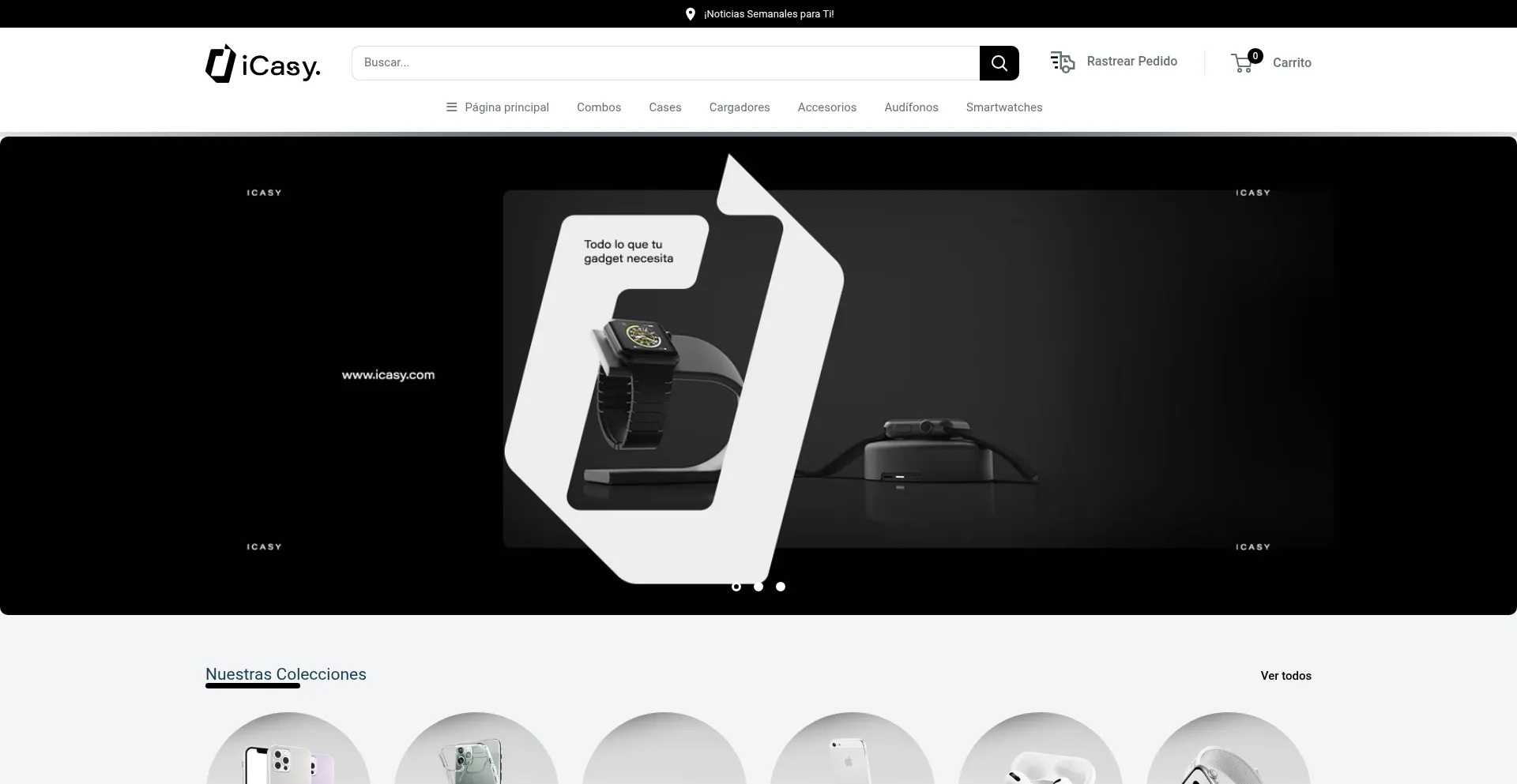 Website screenshot of Icasyargentina.com