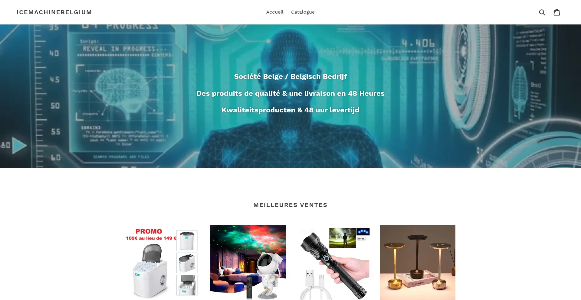 Website screenshot of Icemachinebelgium.com