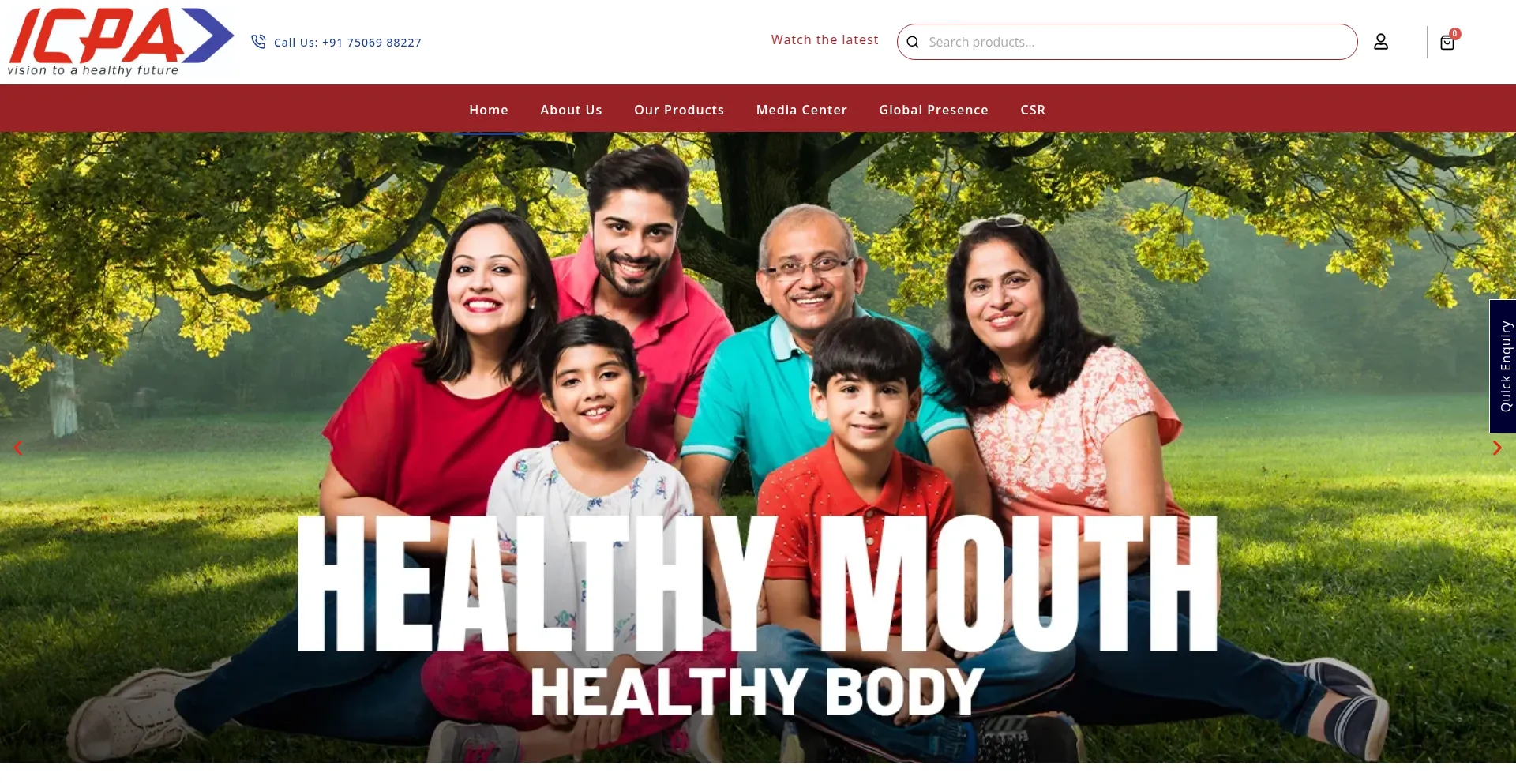 Website screenshot of Icpahealth.com