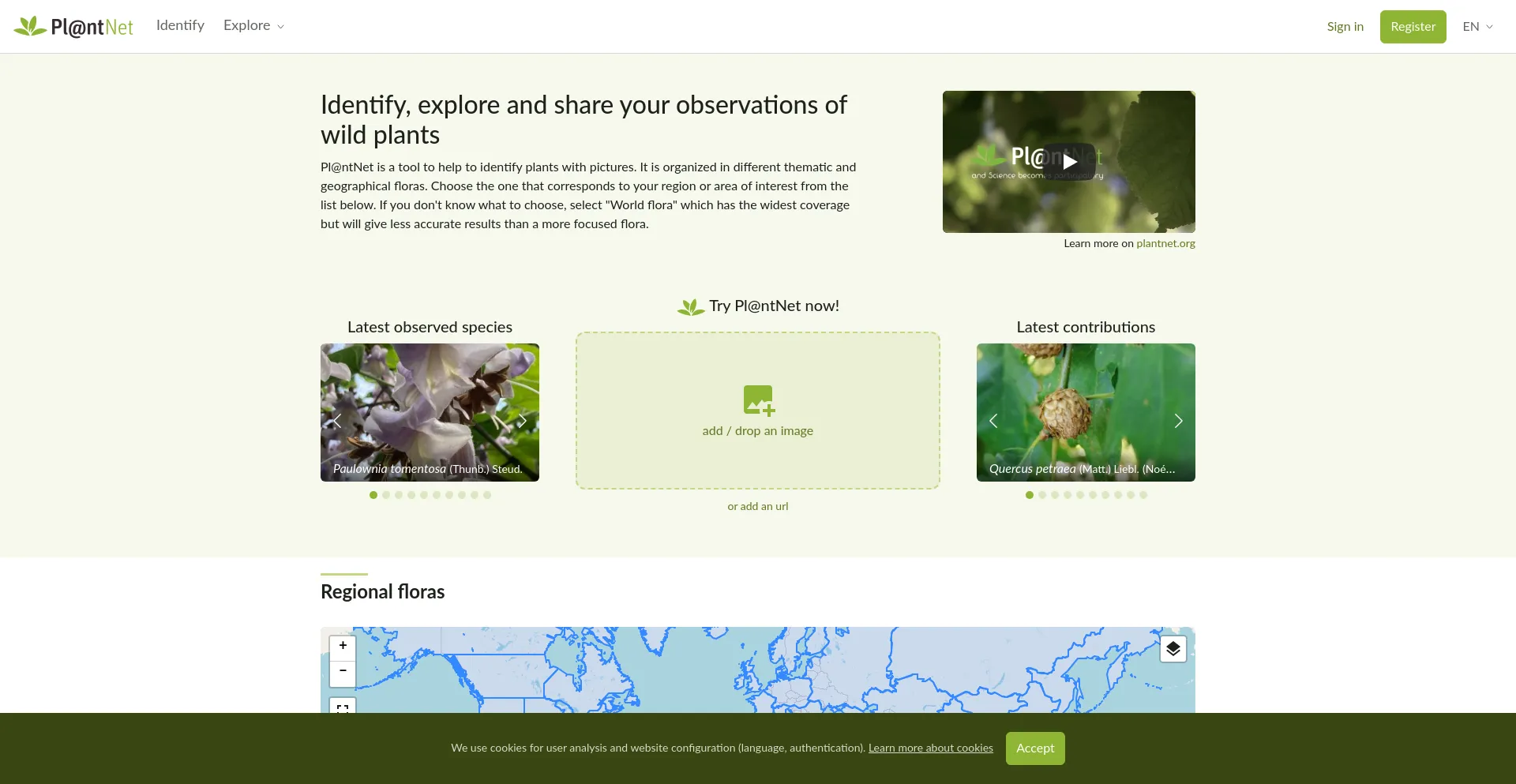 Website screenshot of Identify.plantnet.org