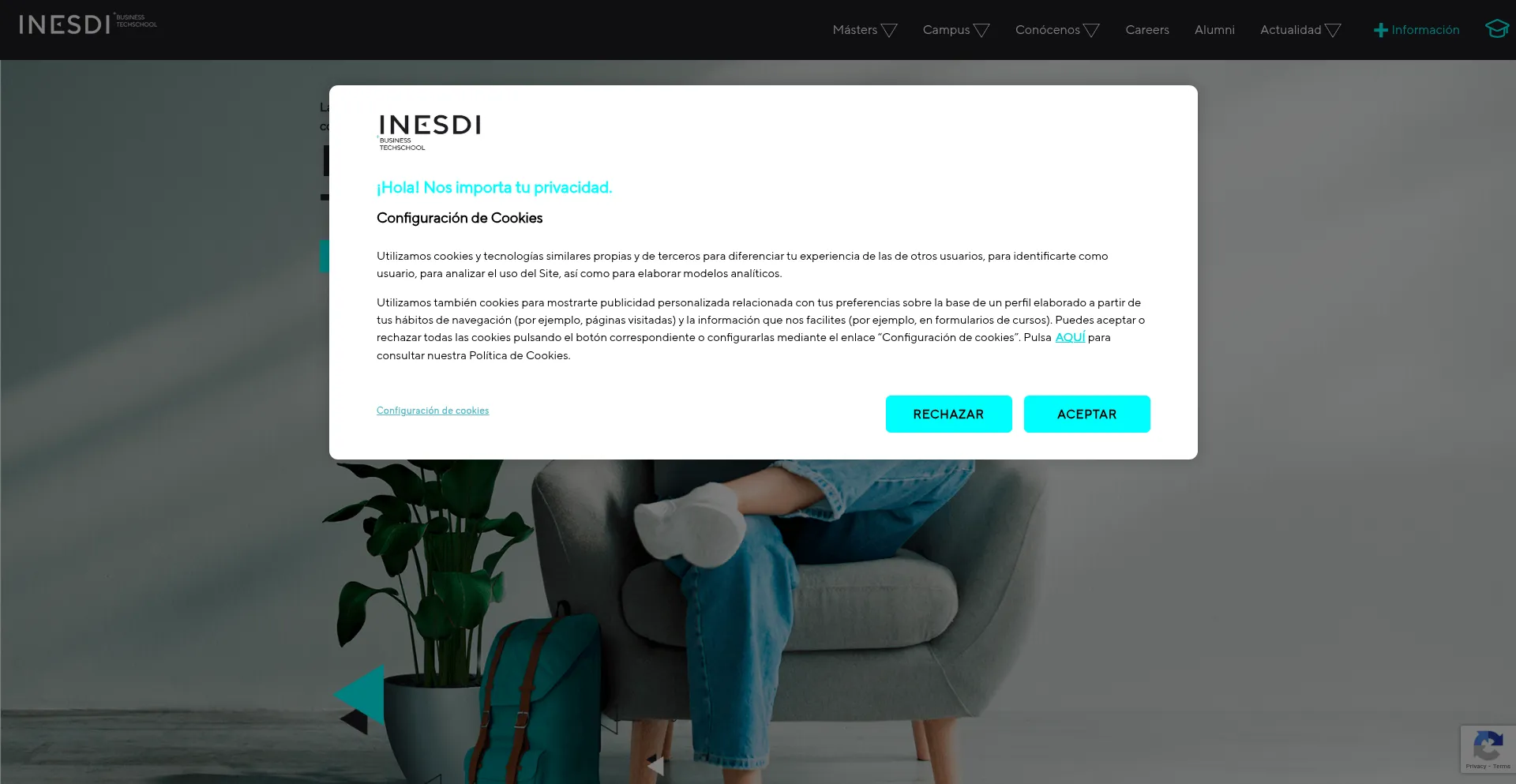 Website screenshot of Inesdi.com
