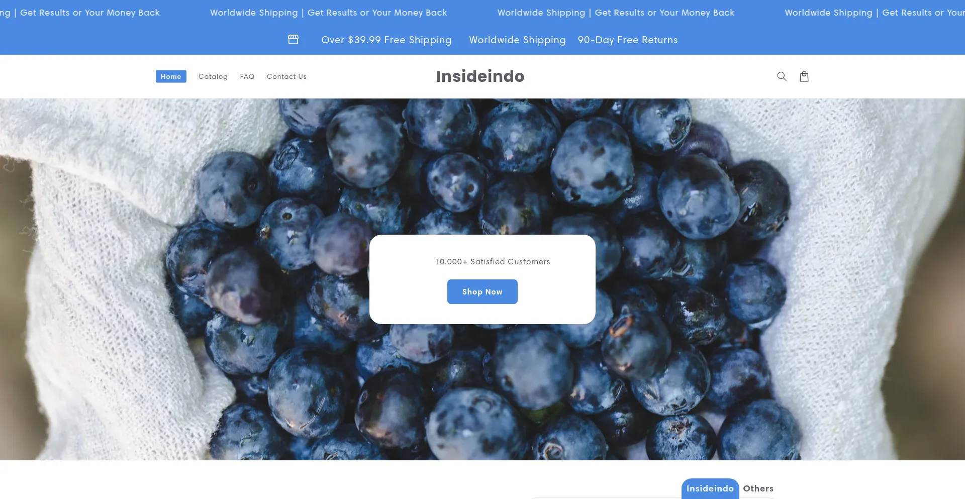 Website screenshot of Insideindo.com