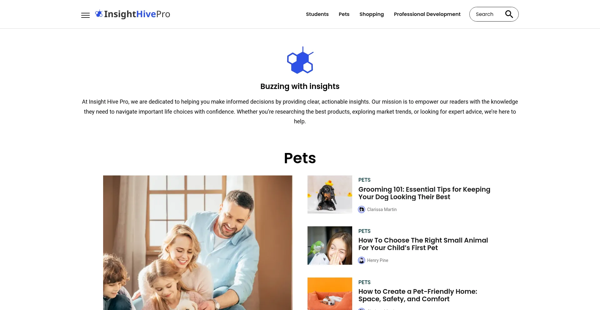 Website screenshot of Insighthivepro.com