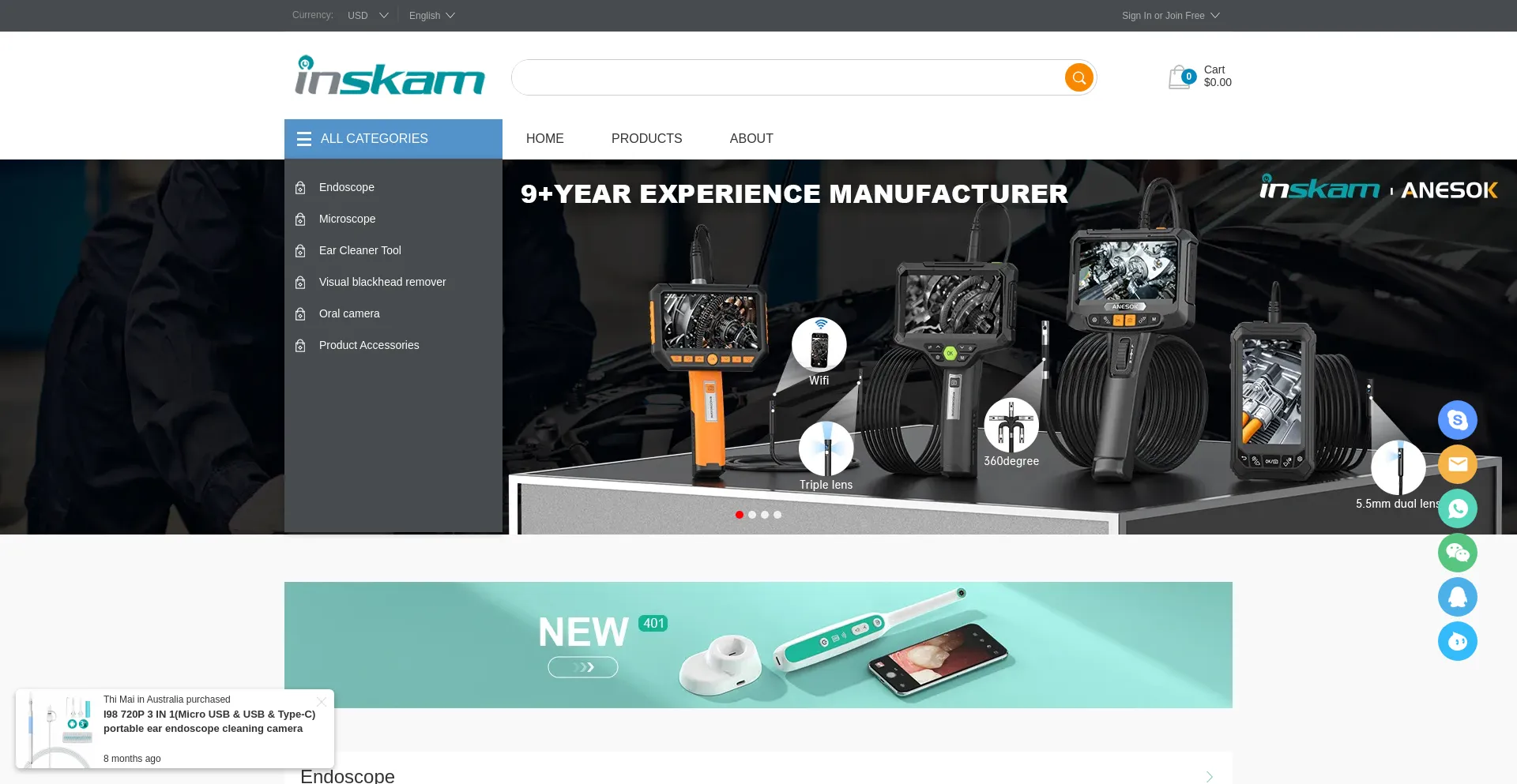Website screenshot of Inskam.com