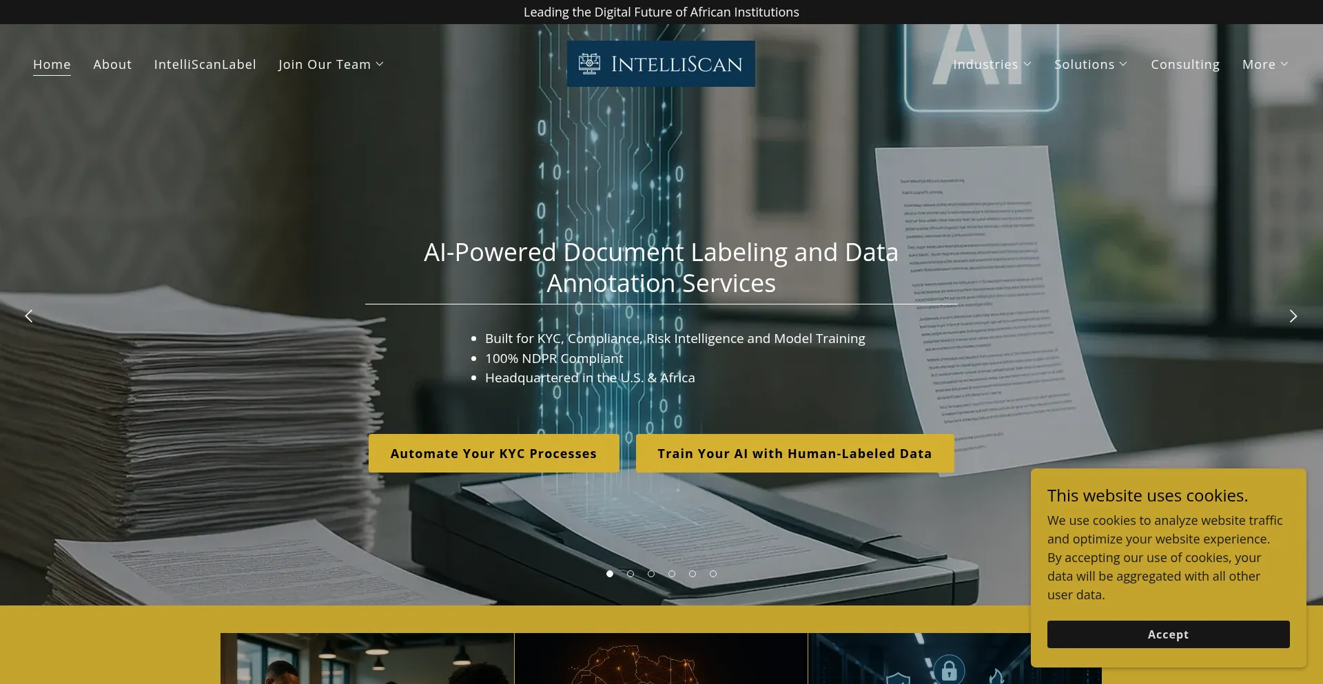 Website screenshot of Intelliscan.africa