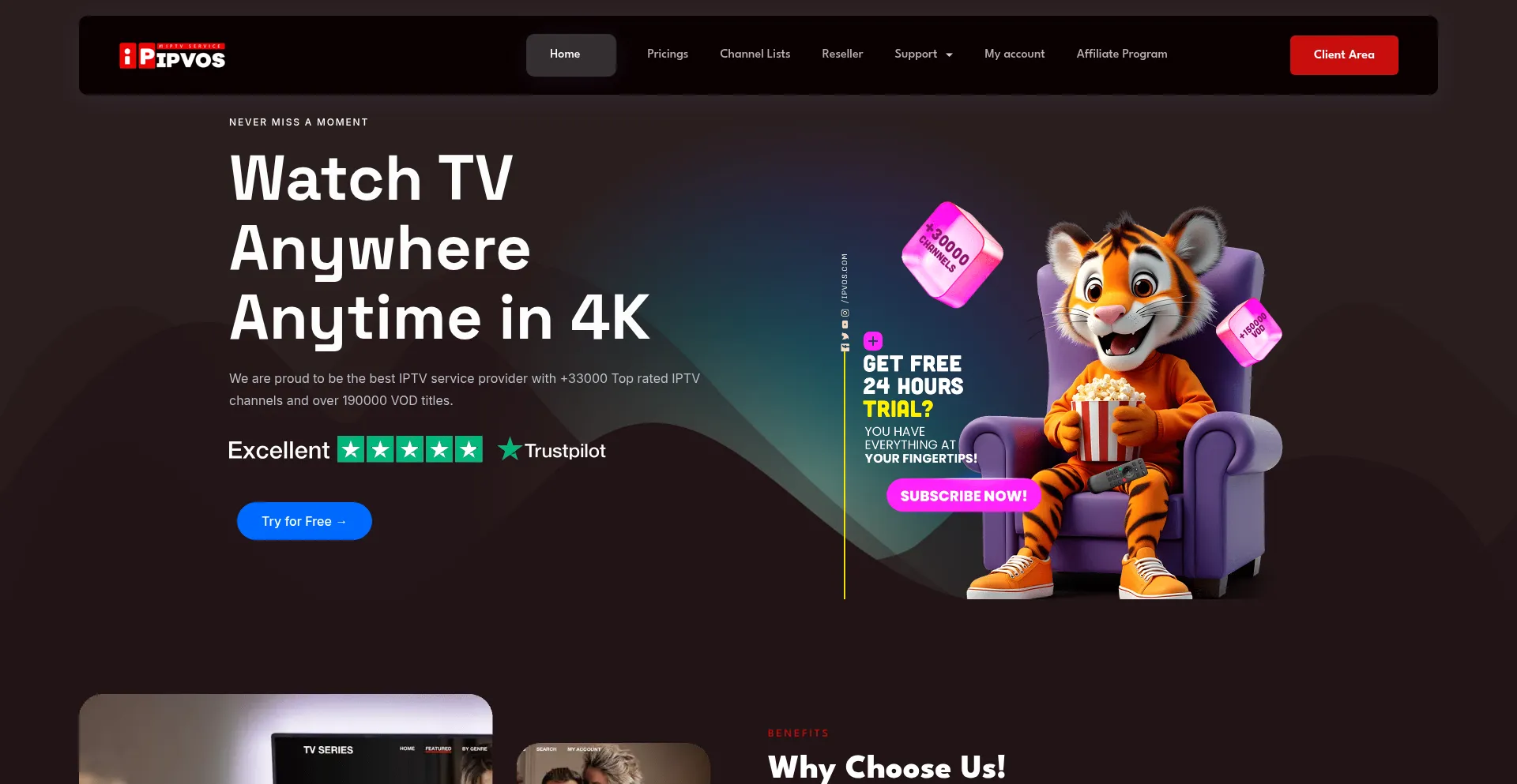 Website screenshot of Ipvos.com