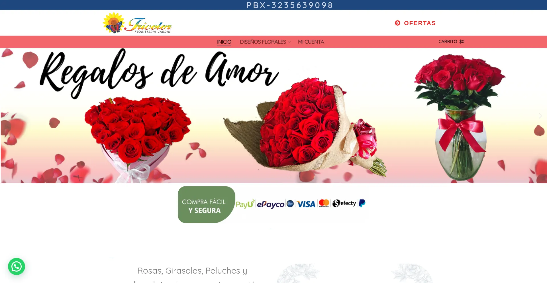 Ist Jardintricolor.com sicher und vertrauenswürdig?