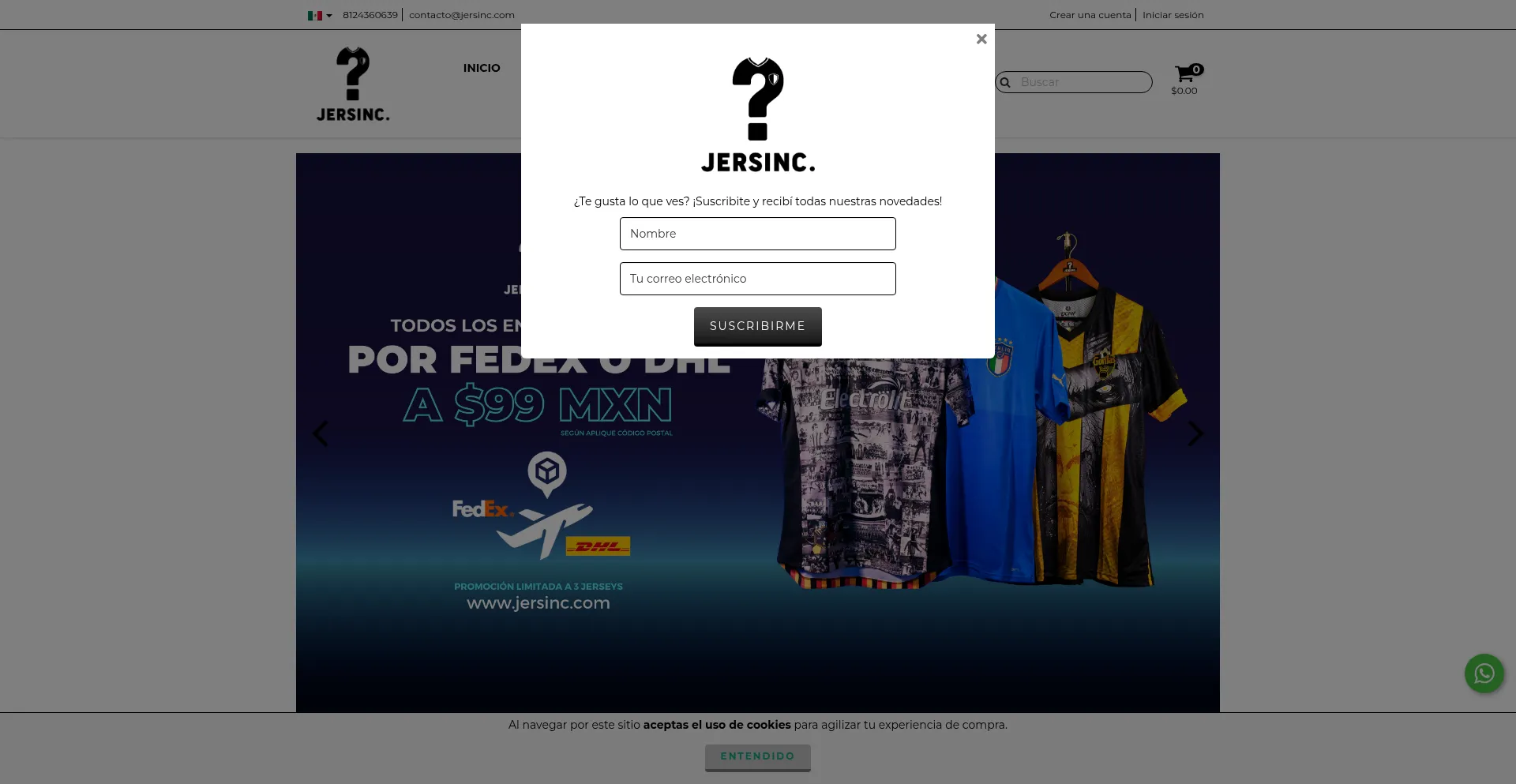 Website screenshot of Jersinc.com