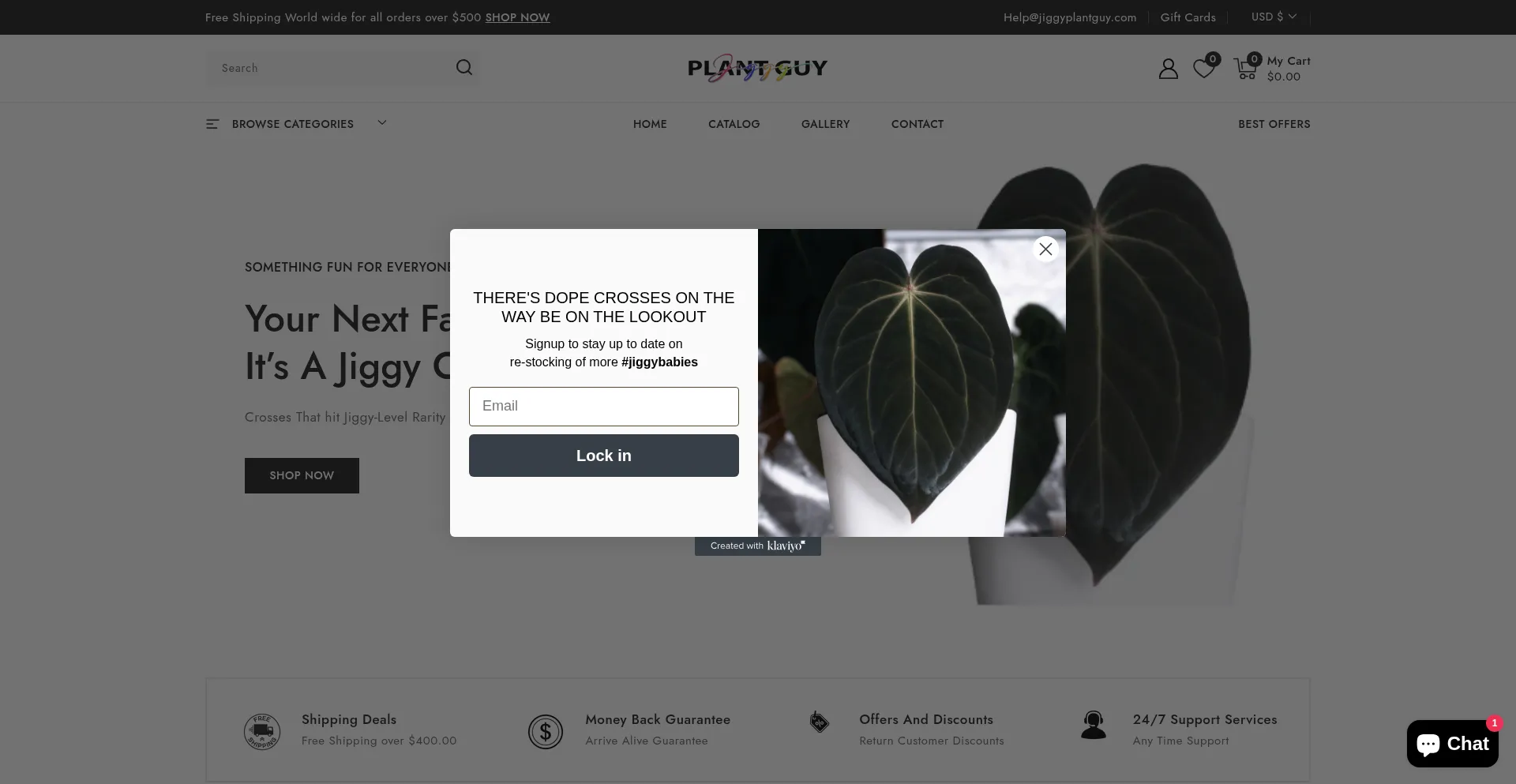 Ist Jiggyplantguy.com sicher und vertrauenswürdig?