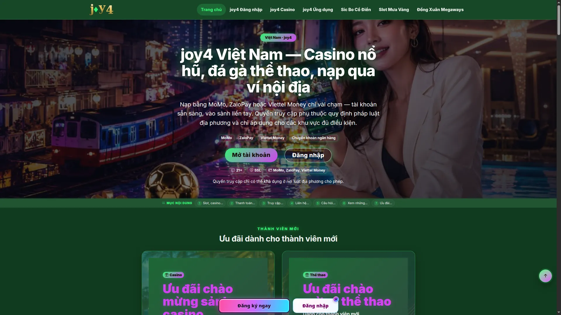 Joy4.pro