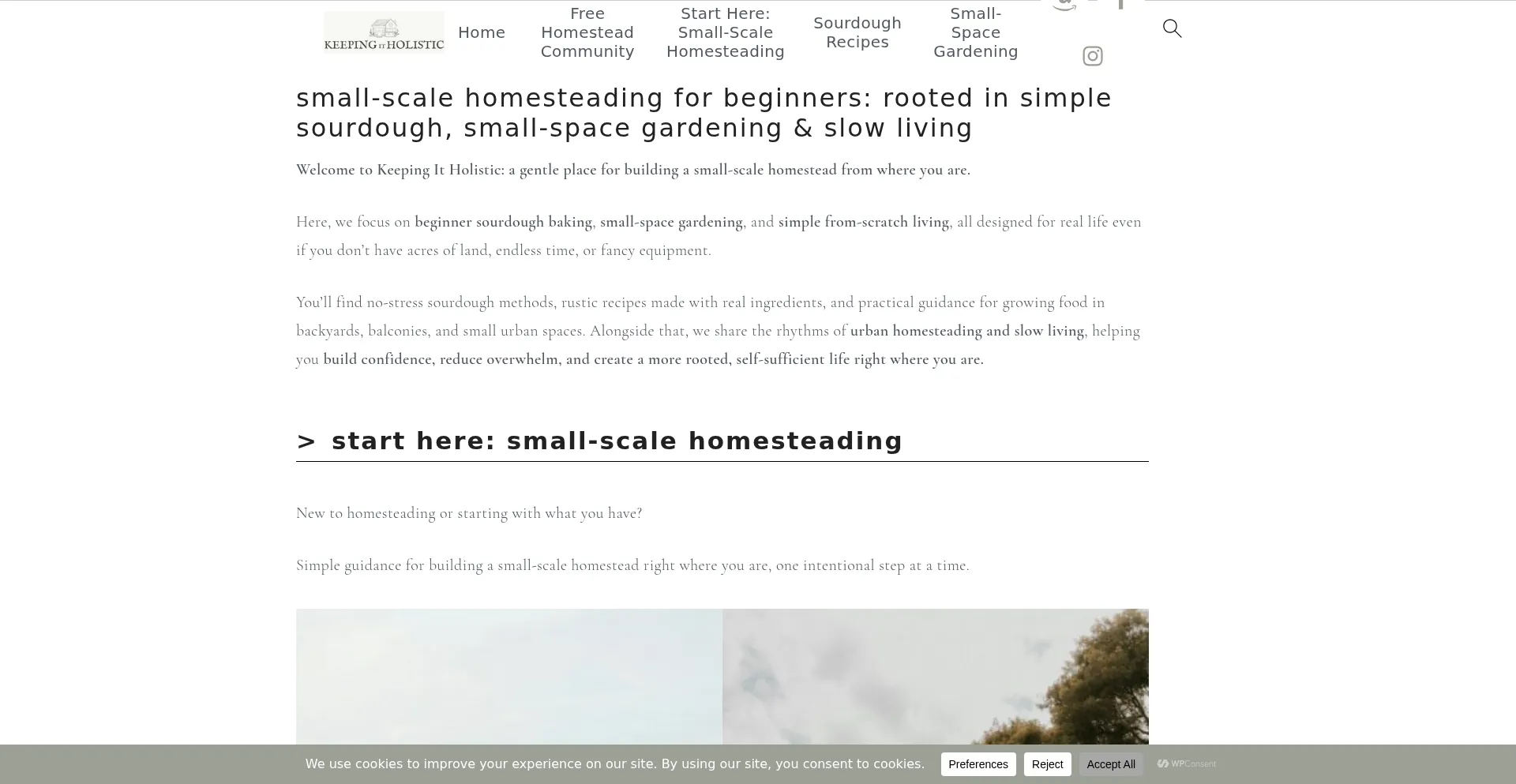 Keepingitholistic.com