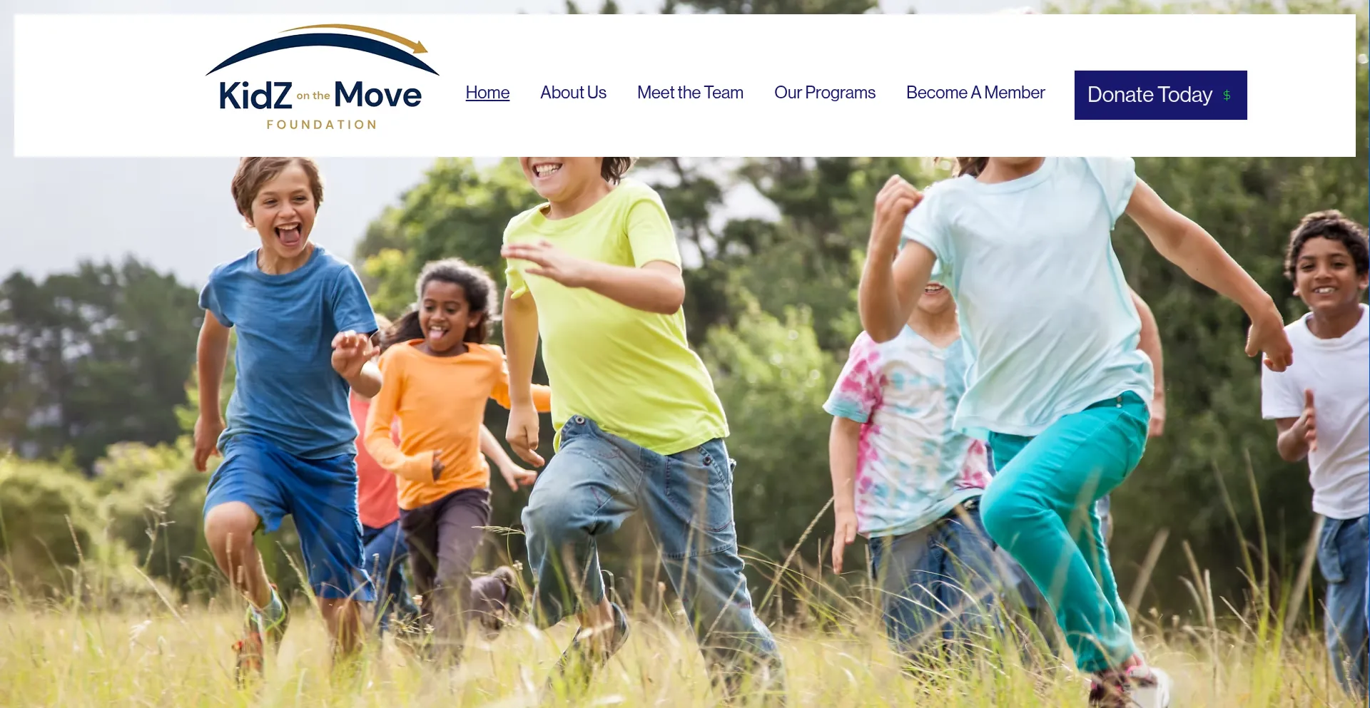 Kidzonthemovefoundation.org