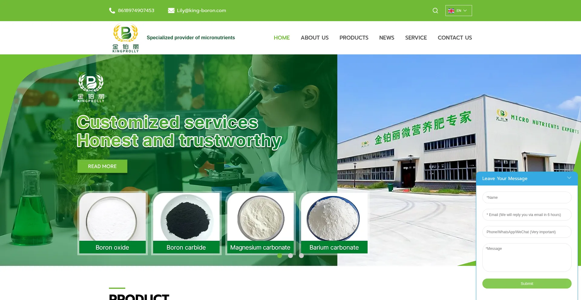 King-boron.com Screenshot