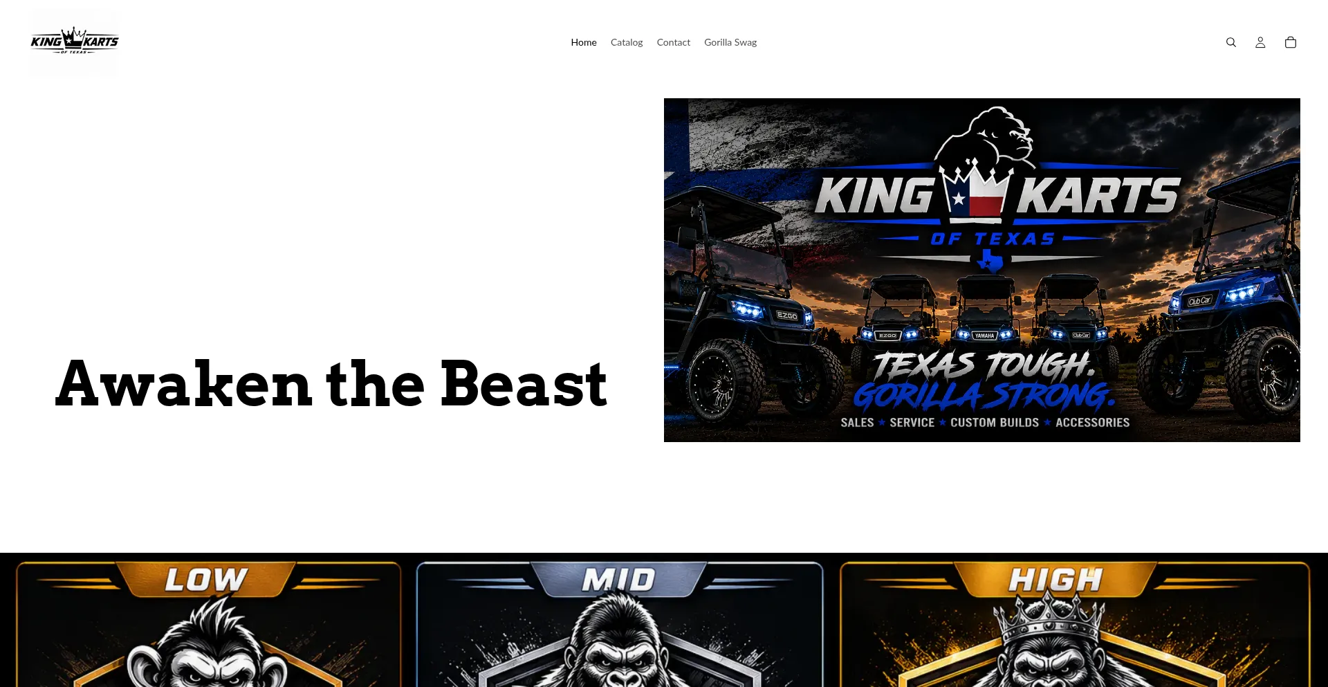 Kingkartstx.com