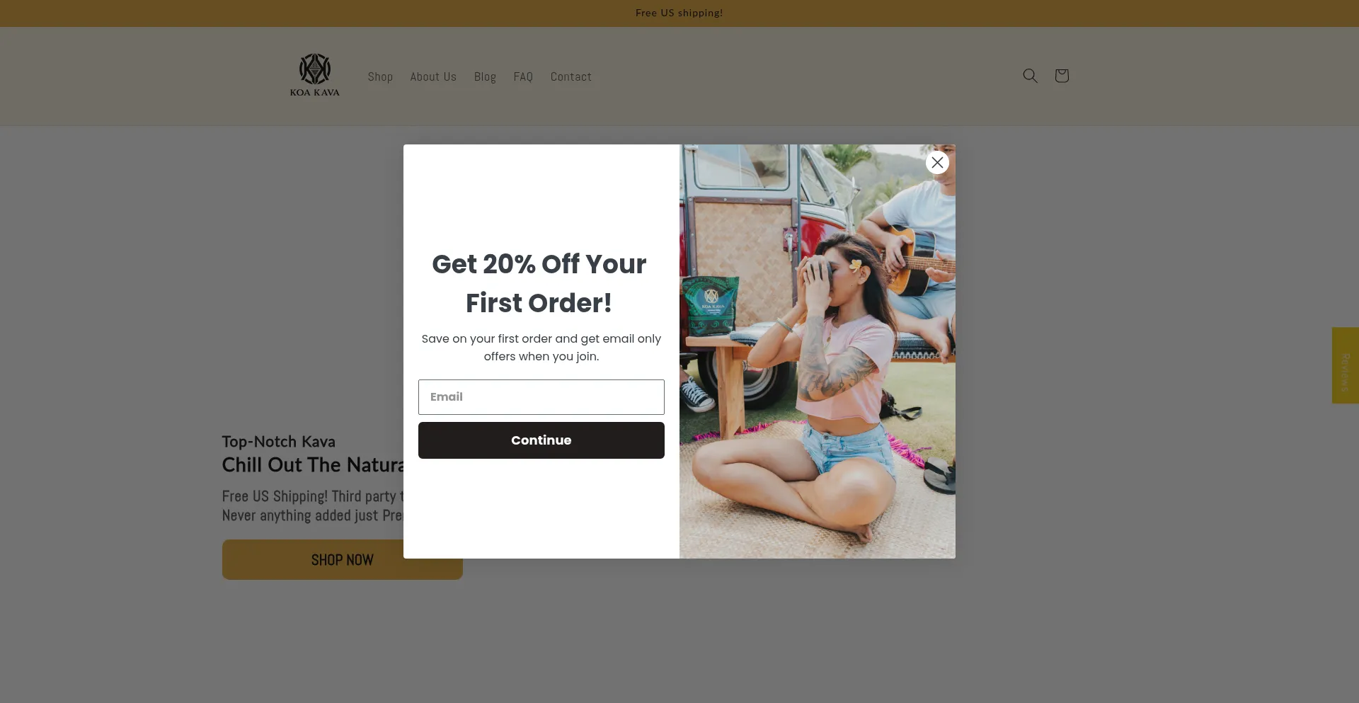 Website screenshot of Koakava.com