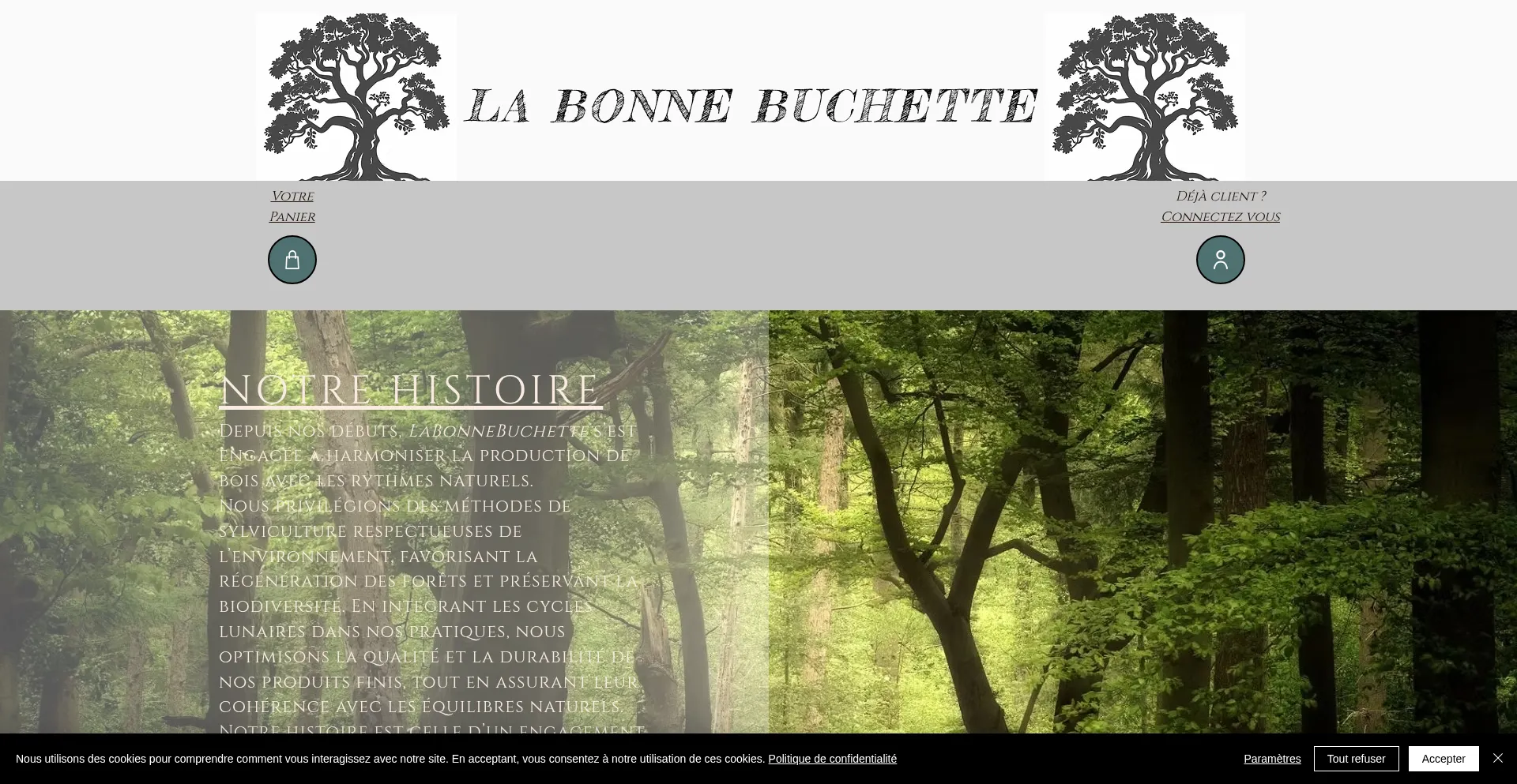 Website screenshot of Labonnebuchette.com