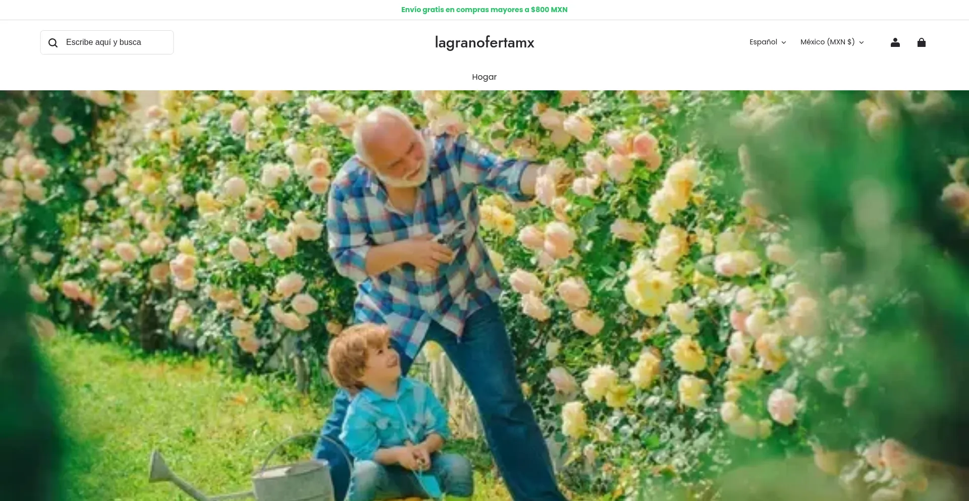Lagranofertamx.com