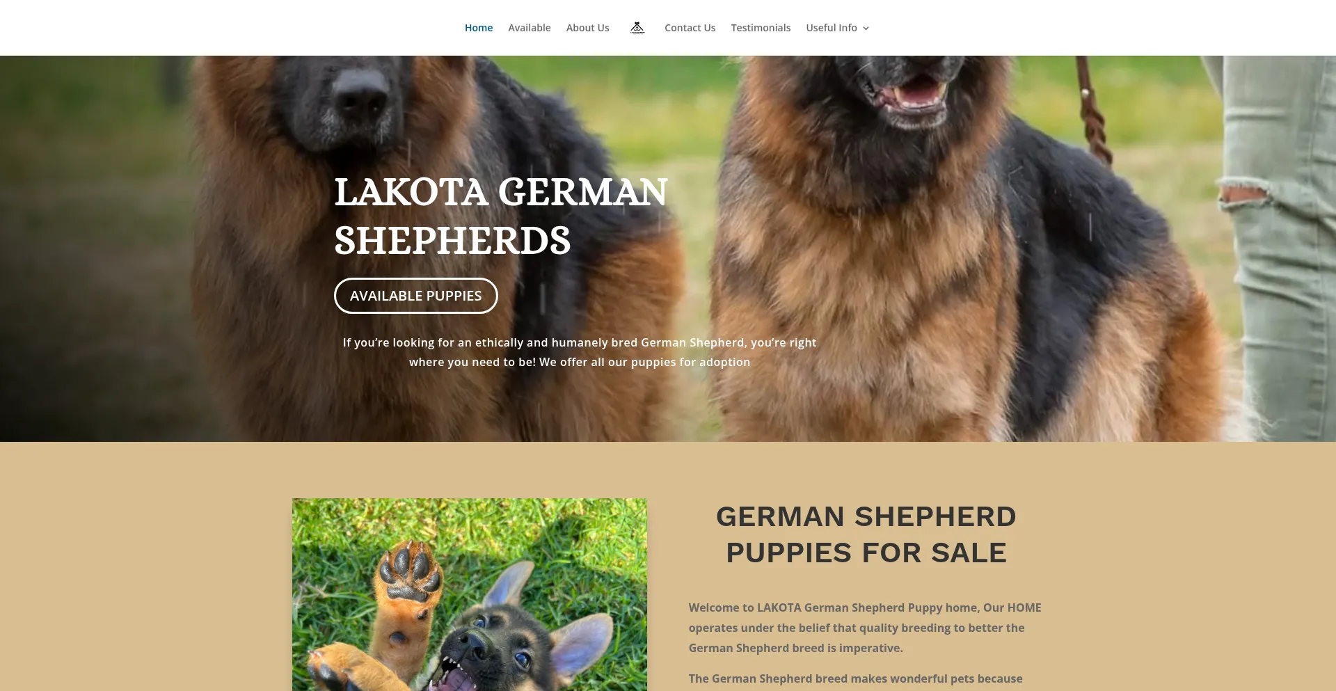 Website screenshot of Lakotadoggyhome.store