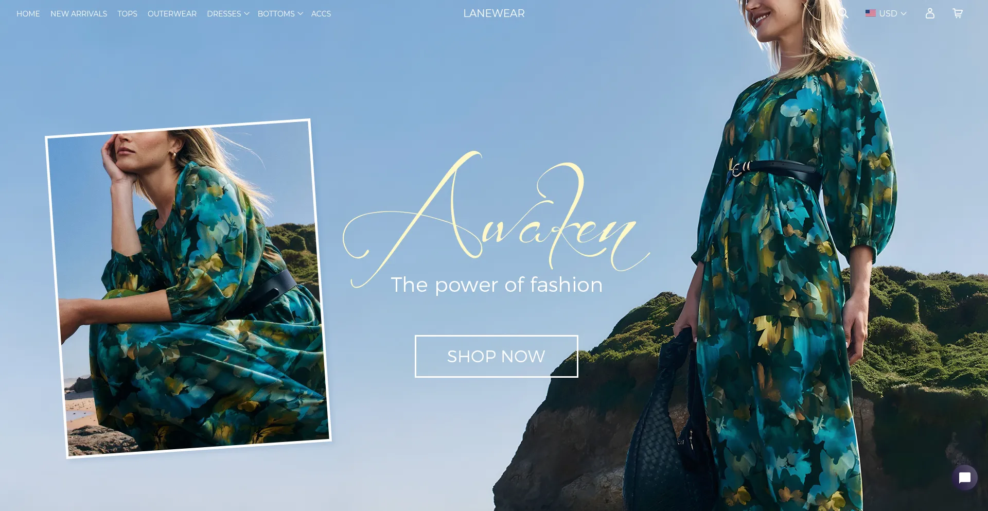 Website screenshot of Lanewear.com