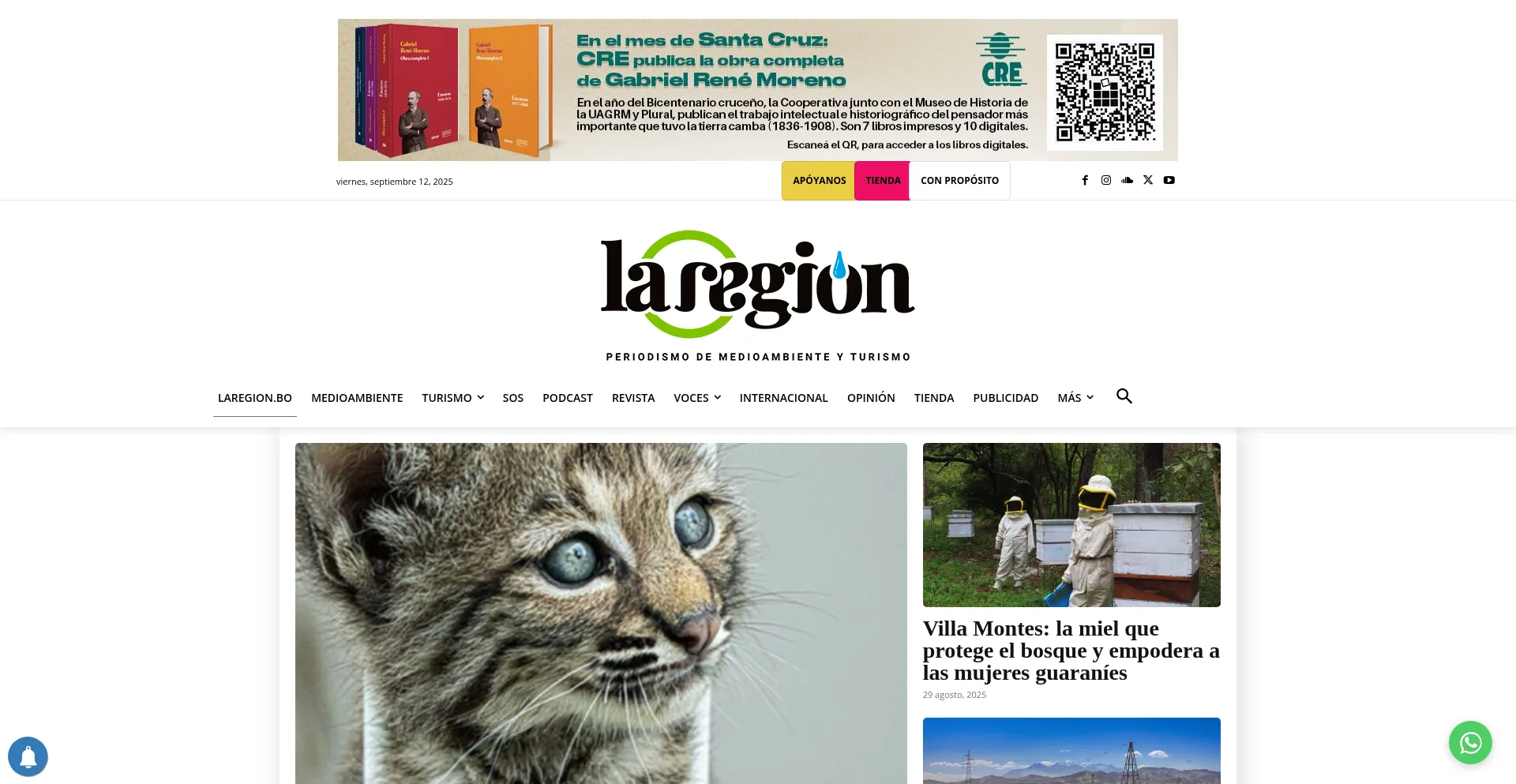 Ist Laregion.bo sicher und vertrauenswürdig?