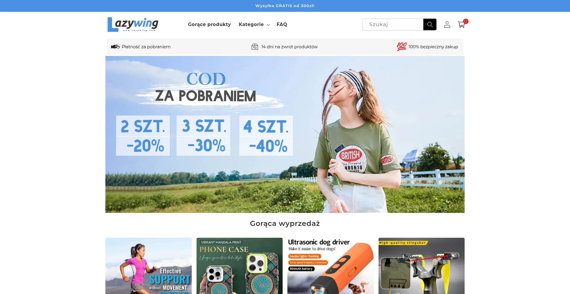 Website screenshot of Lazywing.com